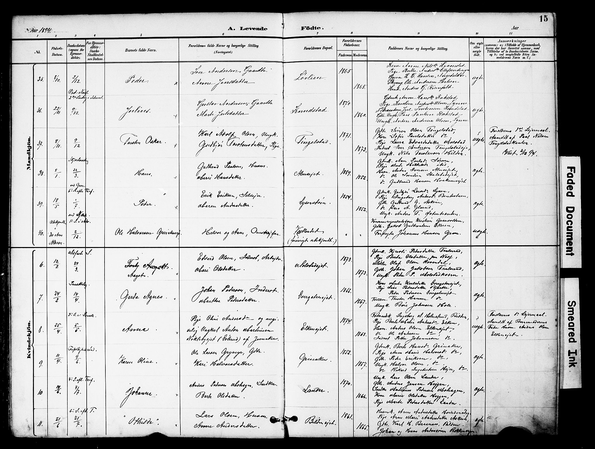 Brandbu prestekontor, SAH/PREST-114/H/Ha/Hab/L0006: Parish register (copy) no. 6, 1893-1902, p. 15