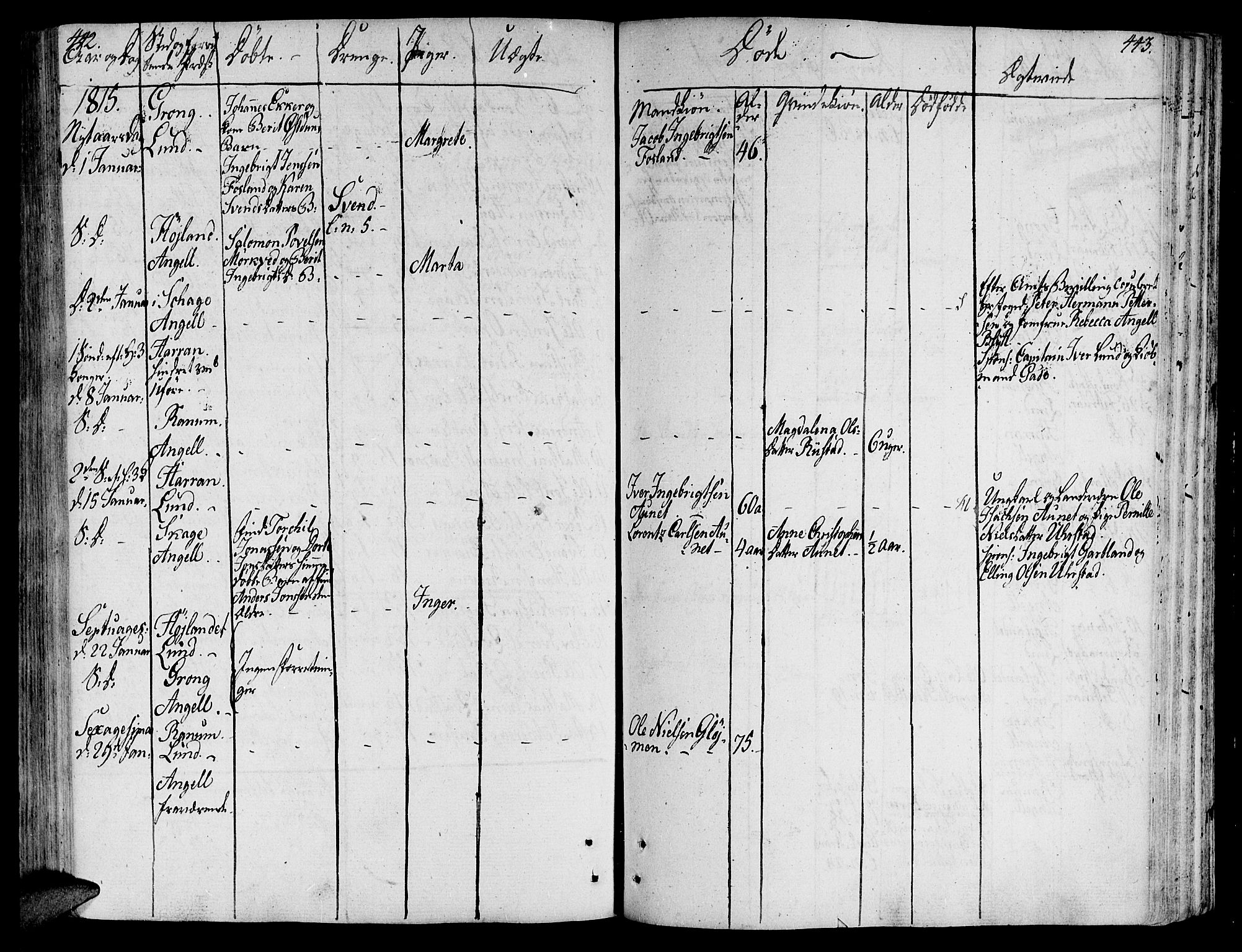 Ministerialprotokoller, klokkerbøker og fødselsregistre - Nord-Trøndelag, SAT/A-1458/764/L0545: Parish register (official) no. 764A05, 1799-1816, p. 442-443