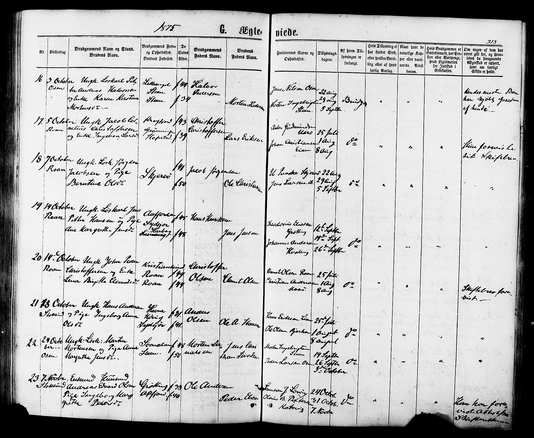 Ministerialprotokoller, klokkerbøker og fødselsregistre - Sør-Trøndelag, AV/SAT-A-1456/657/L0706: Parish register (official) no. 657A07, 1867-1878, p. 313