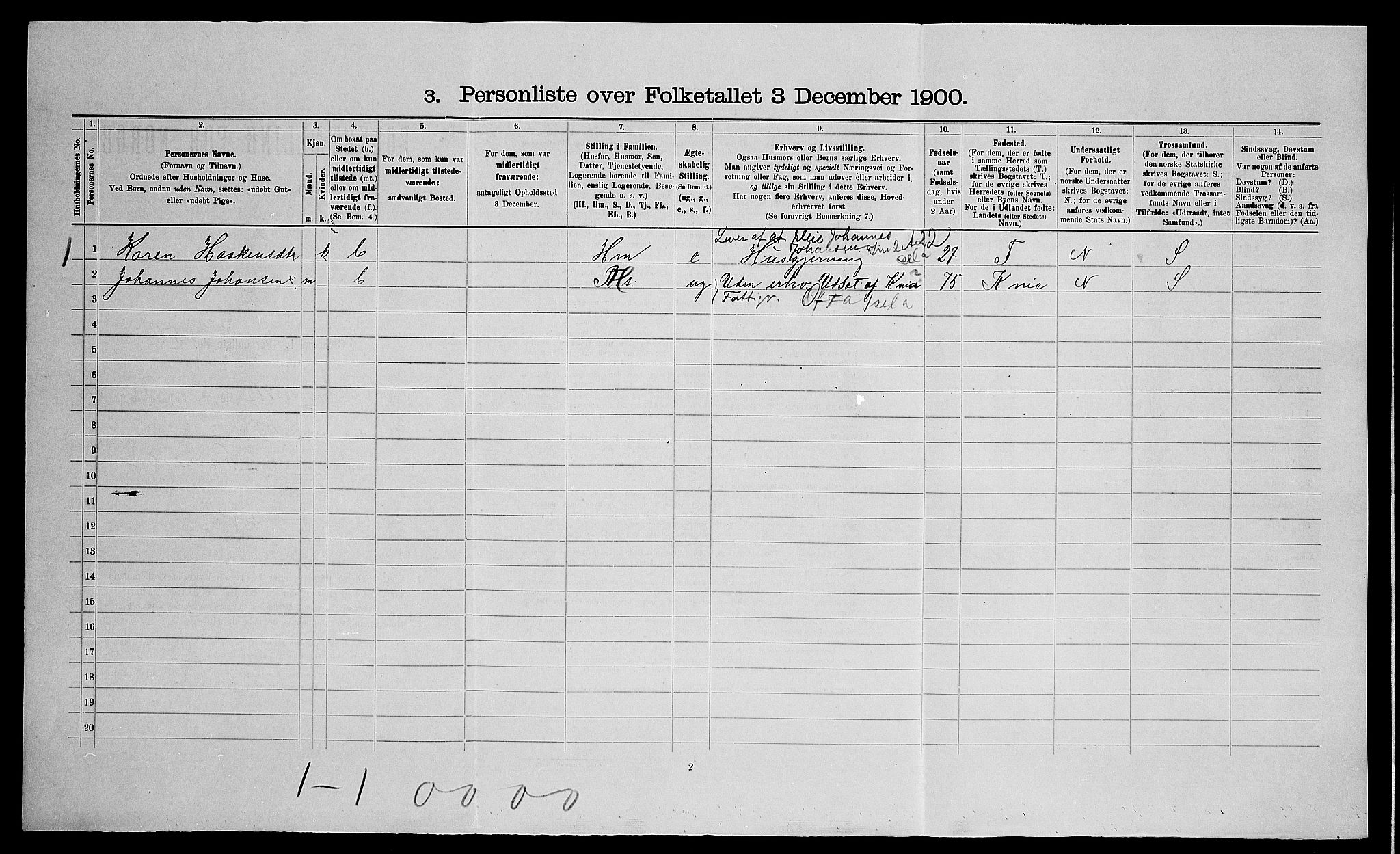 SAO, 1900 census for Nes, 1900