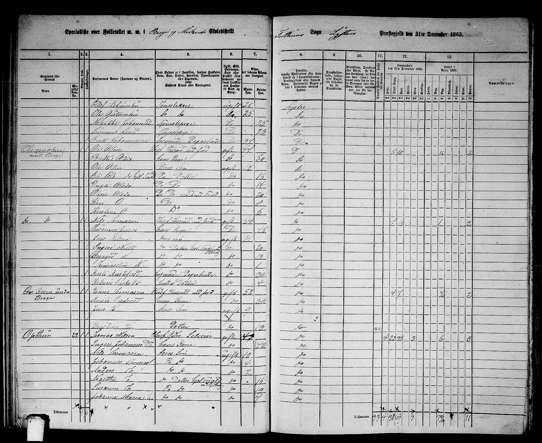 RA, 1865 census for Luster, 1865, p. 24