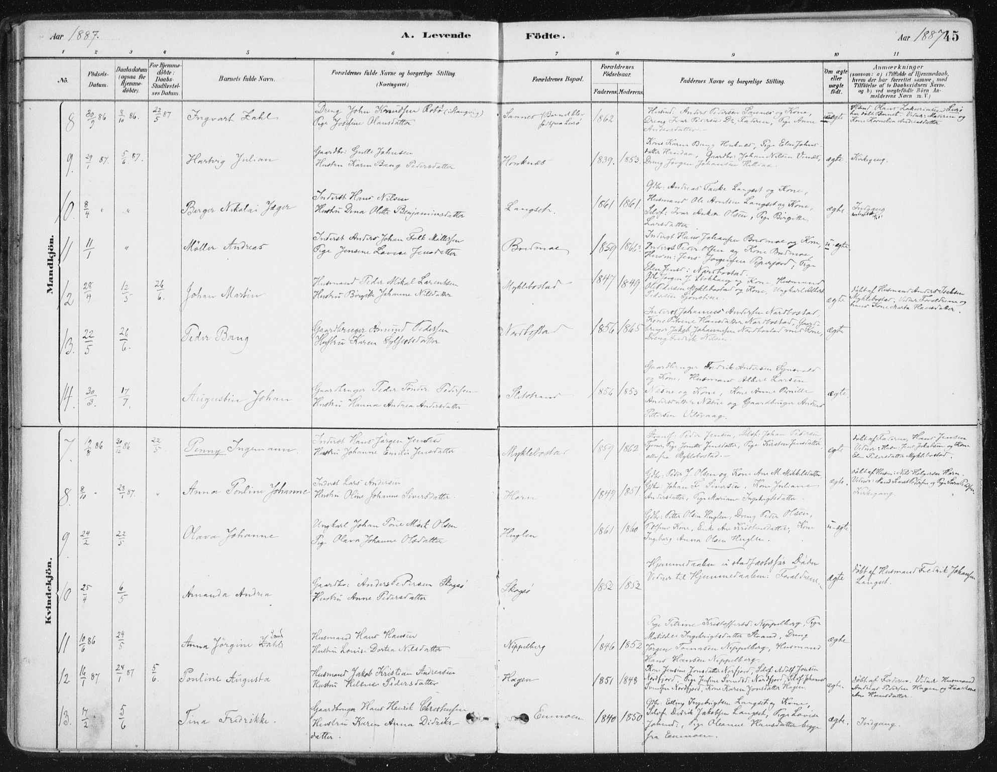 Ministerialprotokoller, klokkerbøker og fødselsregistre - Nordland, AV/SAT-A-1459/838/L0552: Parish register (official) no. 838A10, 1880-1910, p. 45