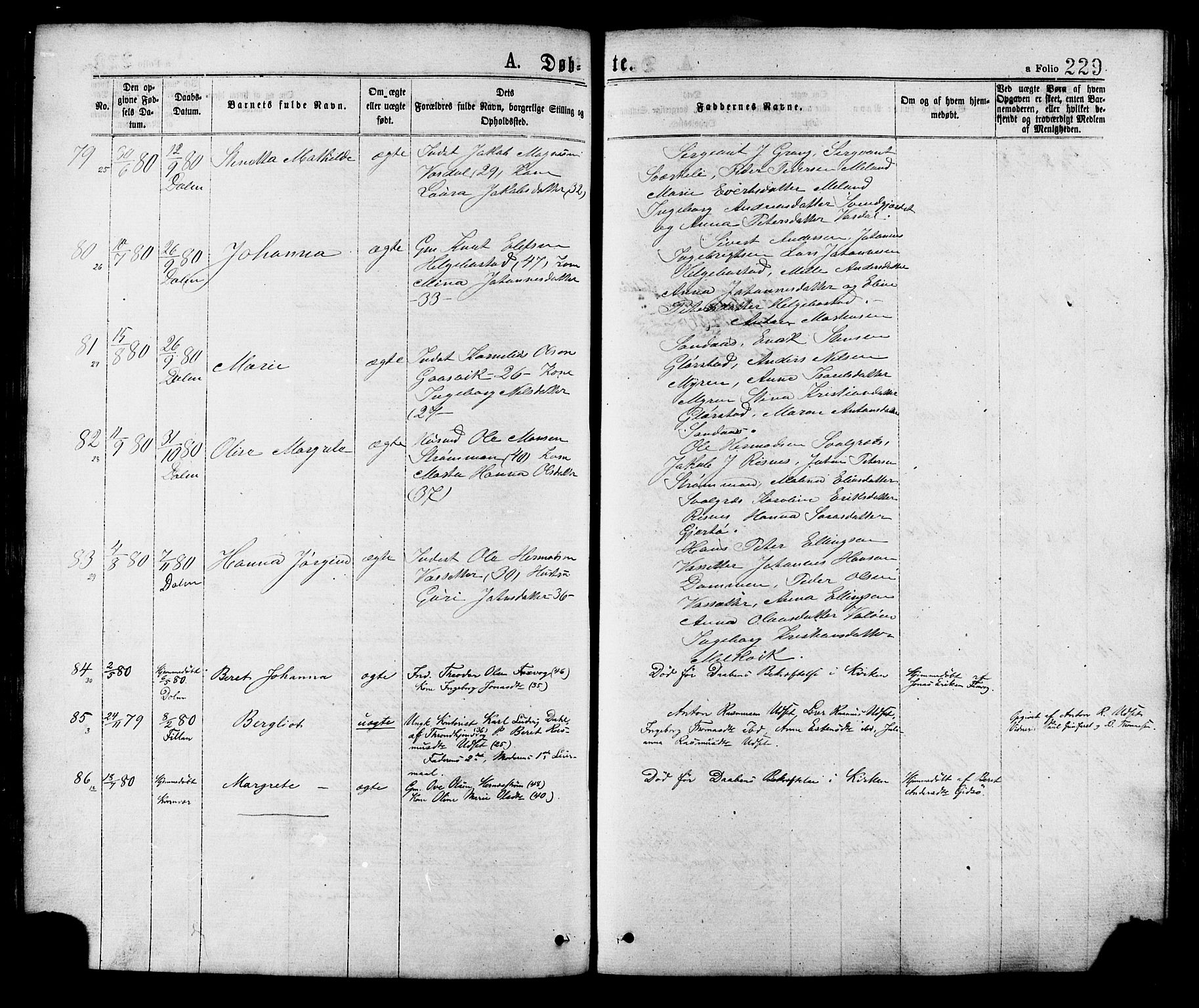 Ministerialprotokoller, klokkerbøker og fødselsregistre - Sør-Trøndelag, AV/SAT-A-1456/634/L0532: Parish register (official) no. 634A08, 1871-1881, p. 229