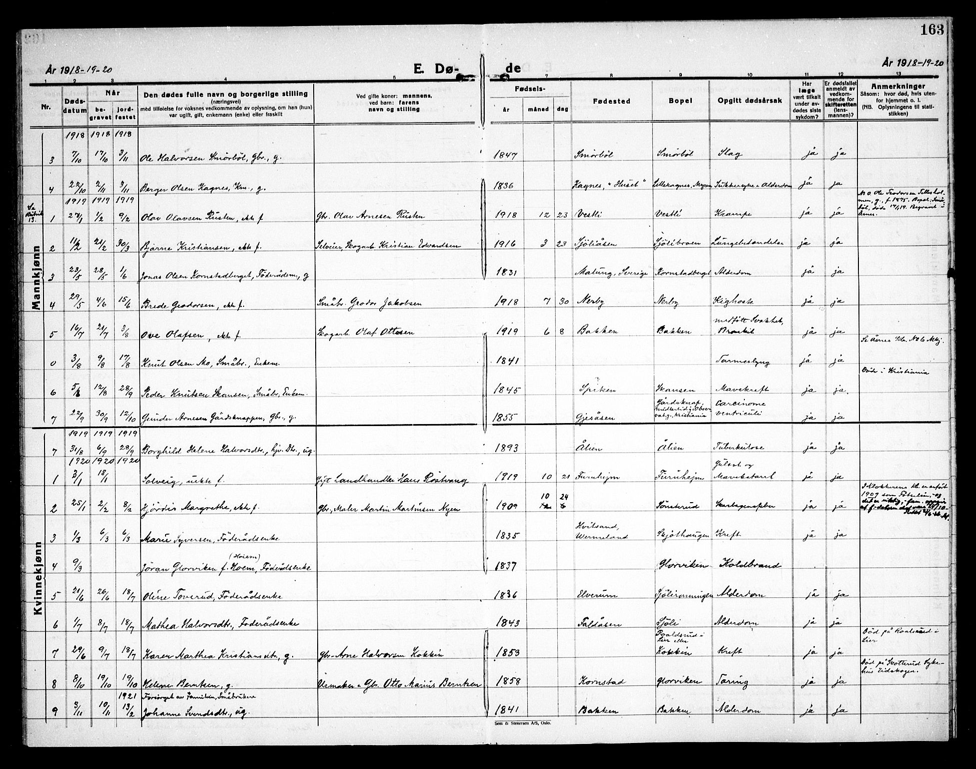 Åsnes prestekontor, SAH/PREST-042/H/Ha/Haa/L0000D: Parish register (official) no. 0B, 1890-1929, p. 163