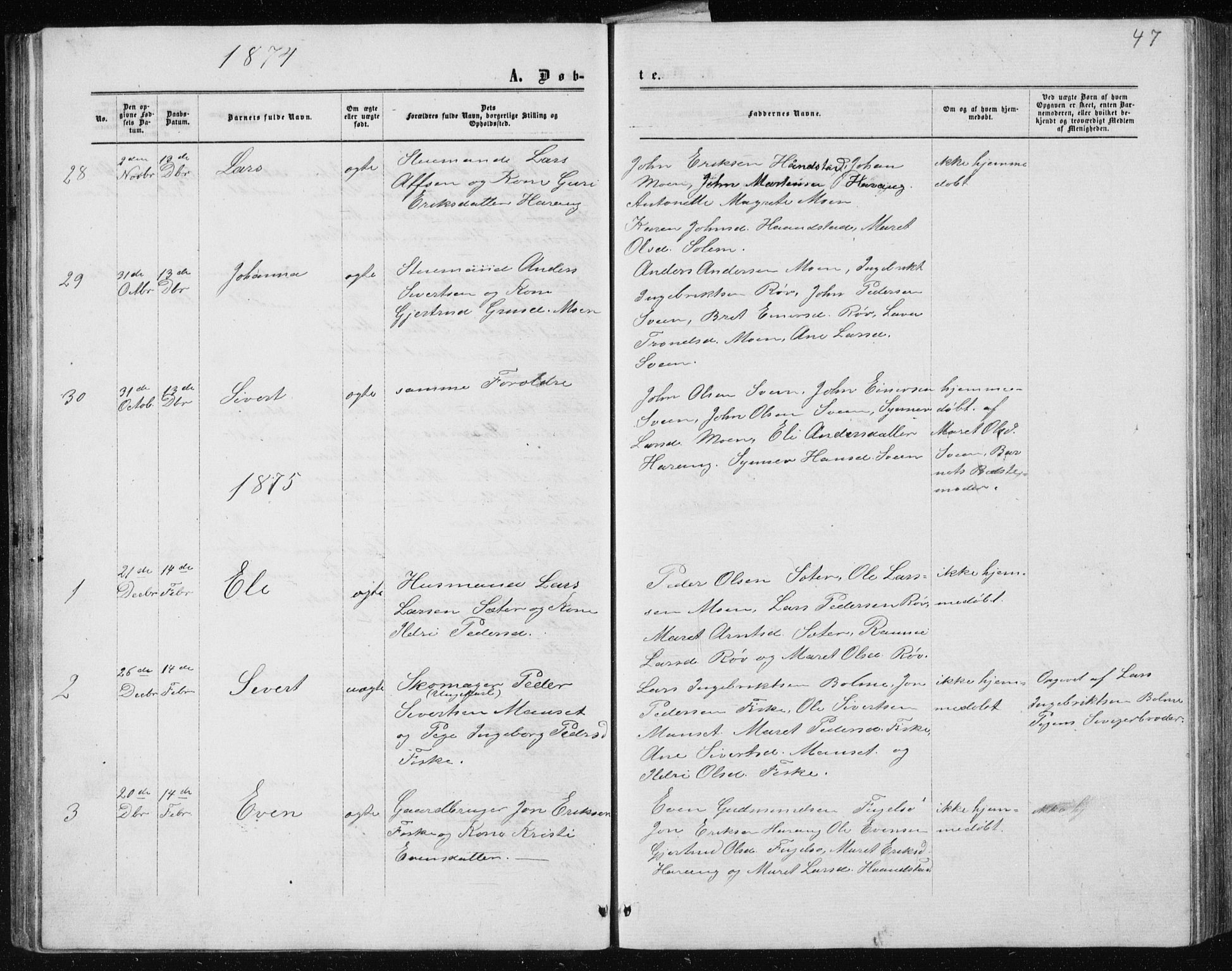 Ministerialprotokoller, klokkerbøker og fødselsregistre - Møre og Romsdal, AV/SAT-A-1454/597/L1064: Parish register (copy) no. 597C01, 1866-1898, p. 47