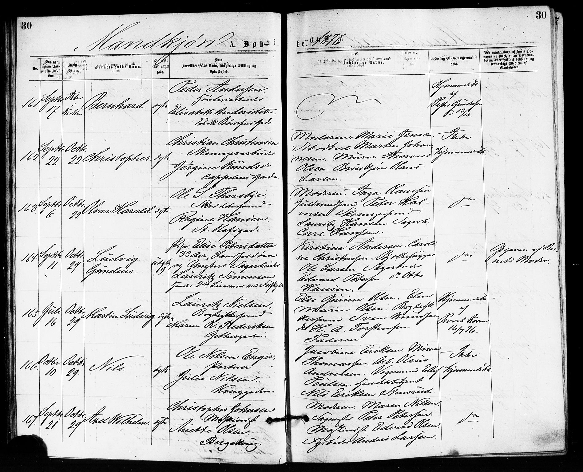 Bragernes kirkebøker, SAKO/A-6/F/Fb/L0005: Parish register (official) no. II 5, 1875-1877, p. 30