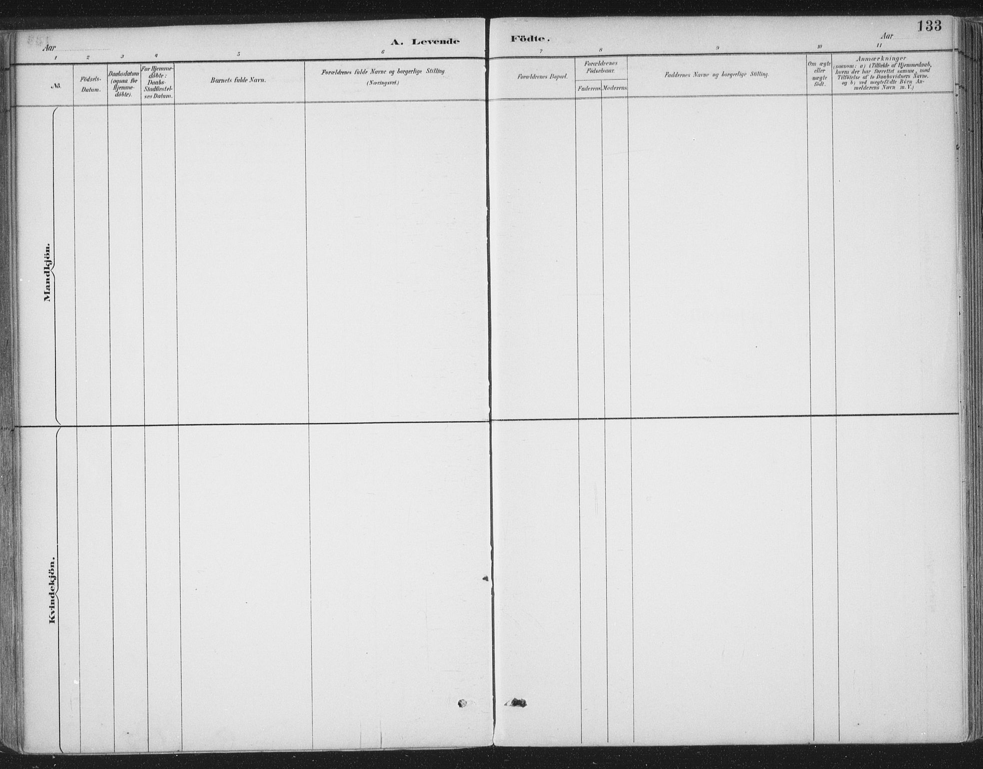 Ministerialprotokoller, klokkerbøker og fødselsregistre - Møre og Romsdal, AV/SAT-A-1454/555/L0658: Parish register (official) no. 555A09, 1887-1917, p. 133