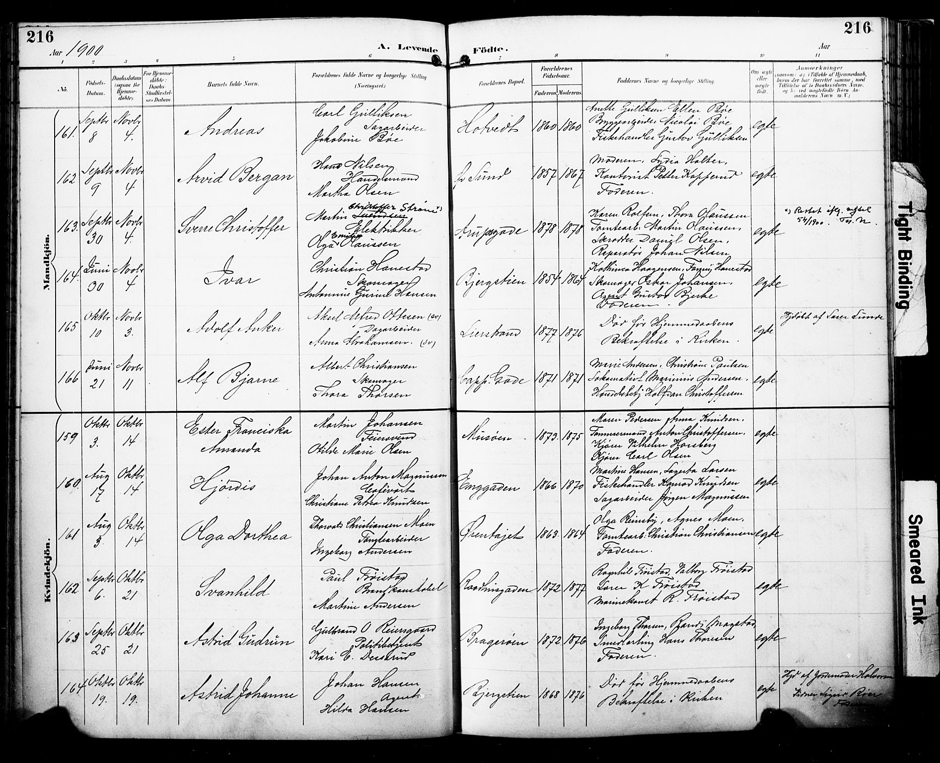 Bragernes kirkebøker, SAKO/A-6/F/Fb/L0008: Parish register (official) no. II 8, 1894-1902, p. 216