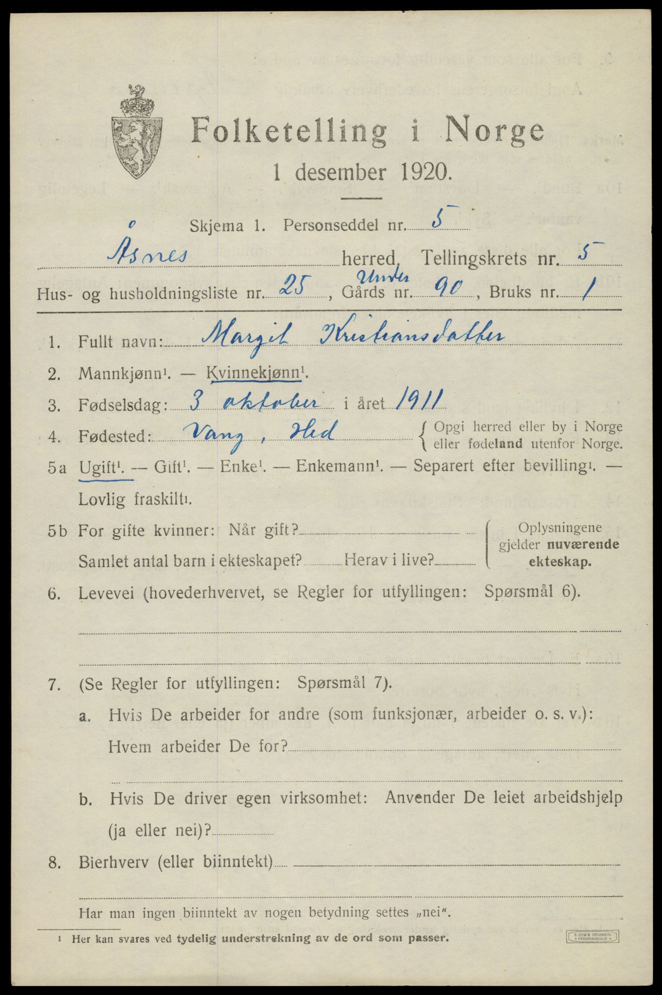 SAH, 1920 census for Åsnes, 1920, p. 6958