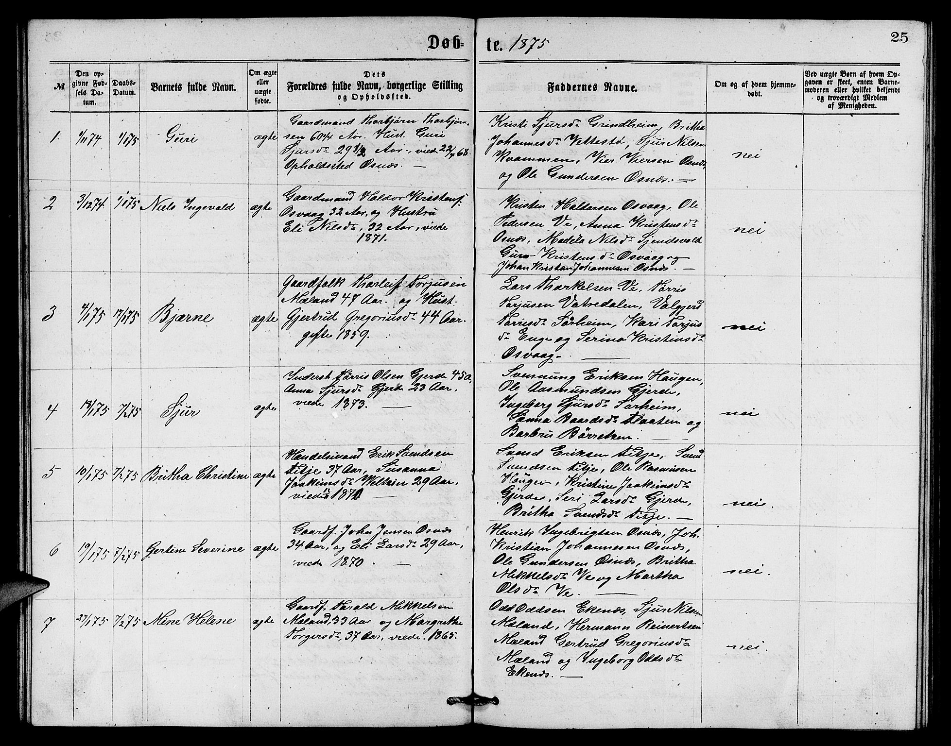 Etne sokneprestembete, SAB/A-75001/H/Hab: Parish register (copy) no. B 3, 1867-1878, p. 25
