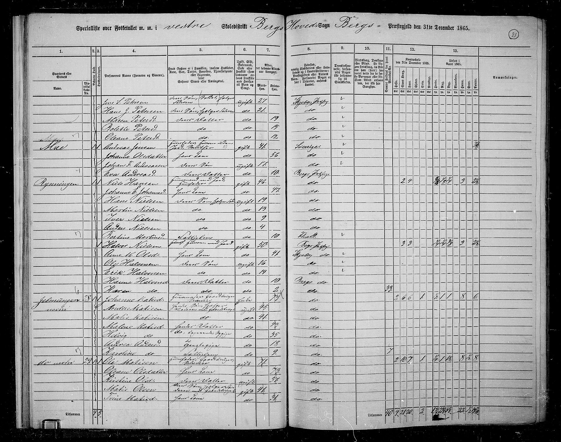 RA, 1865 census for Berg, 1865, p. 21