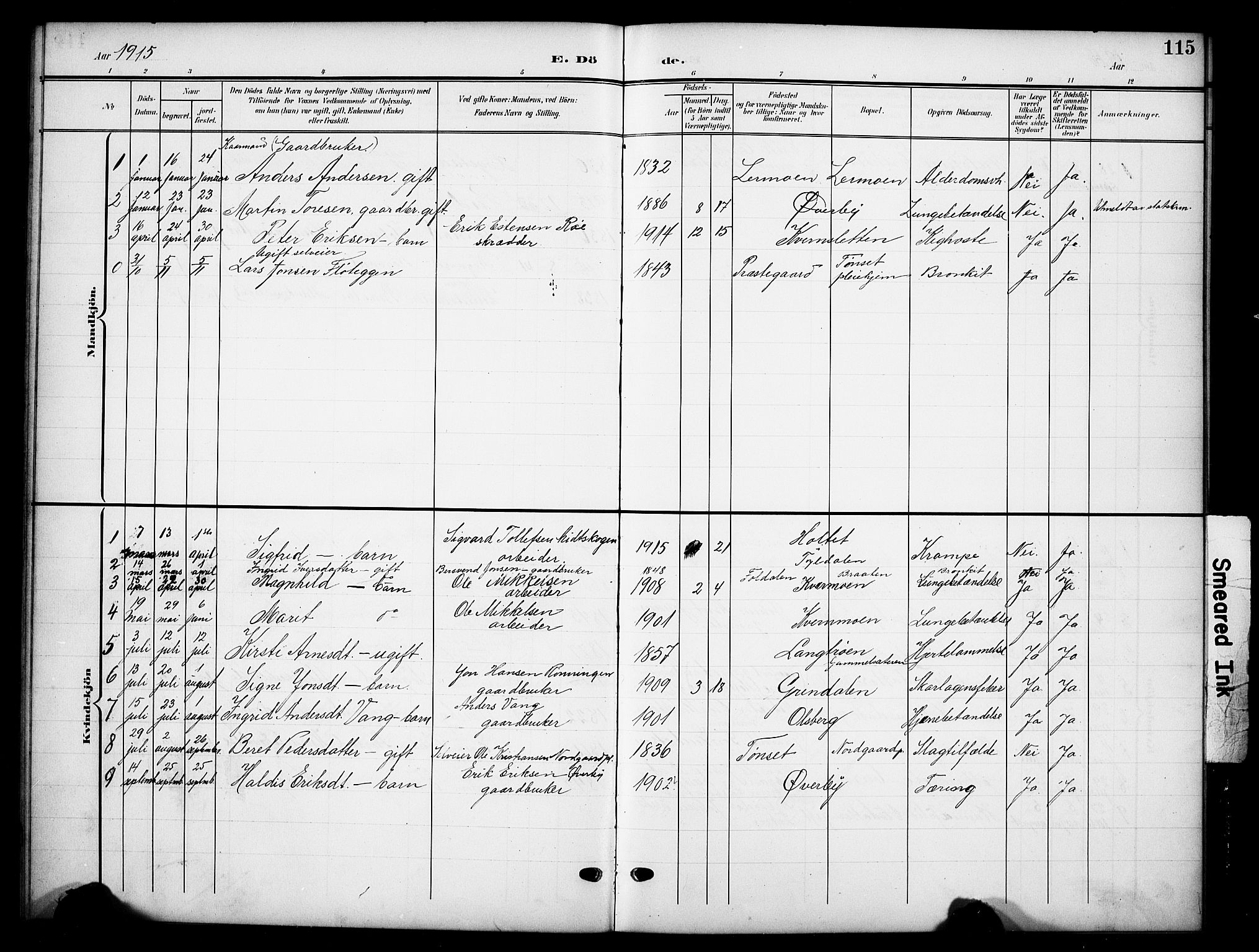 Tynset prestekontor, SAH/PREST-058/H/Ha/Hab/L0010: Parish register (copy) no. 10, 1902-1929, p. 115