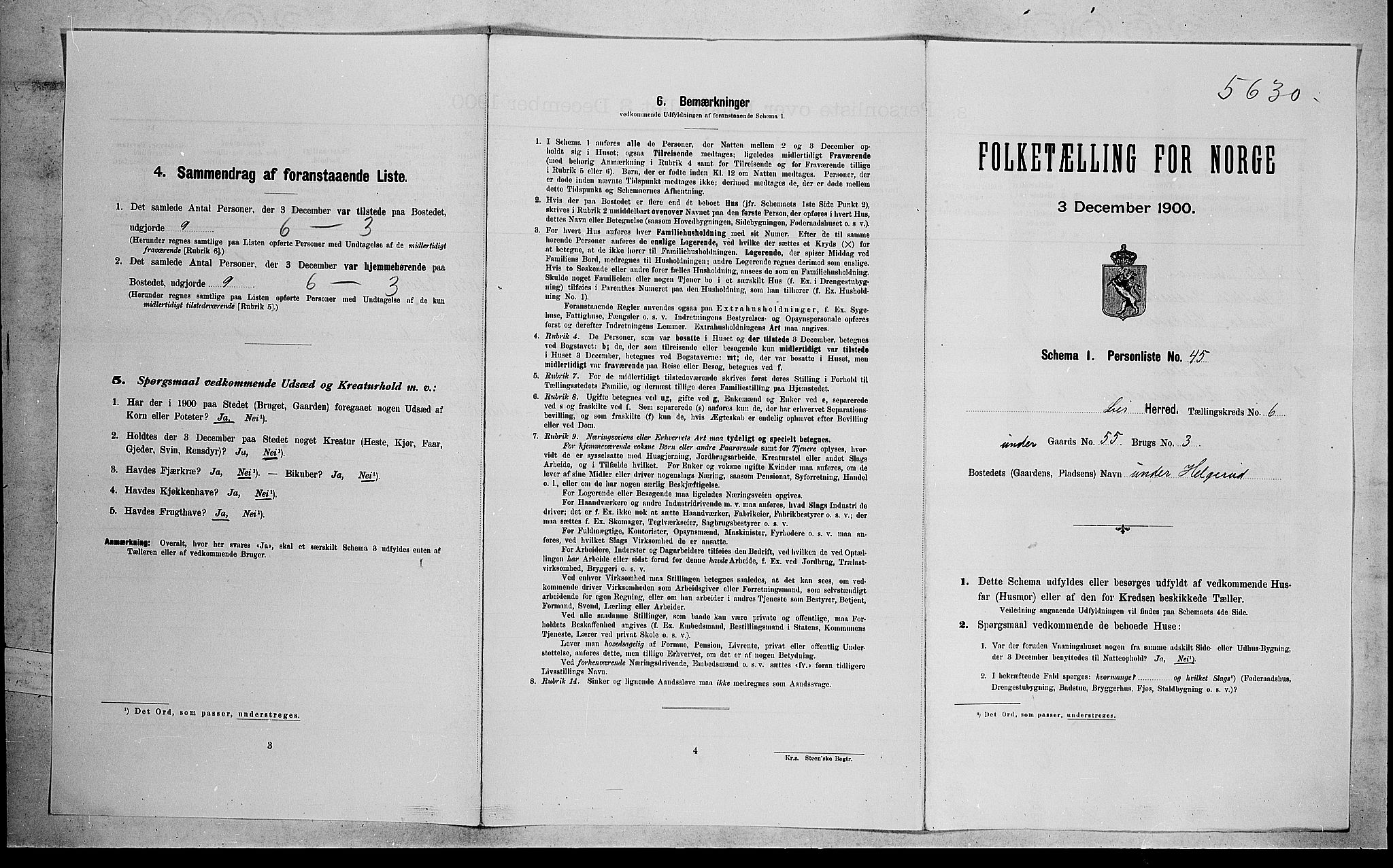 RA, 1900 census for Lier, 1900, p. 1145