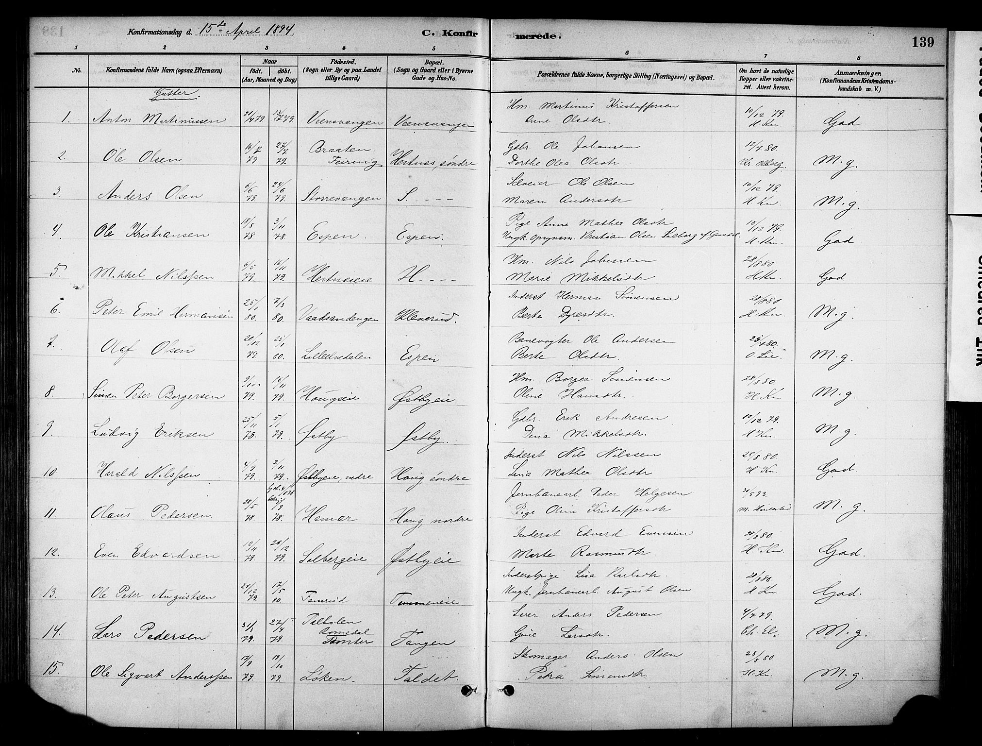 Stange prestekontor, AV/SAH-PREST-002/K/L0018: Parish register (official) no. 18, 1880-1896, p. 139