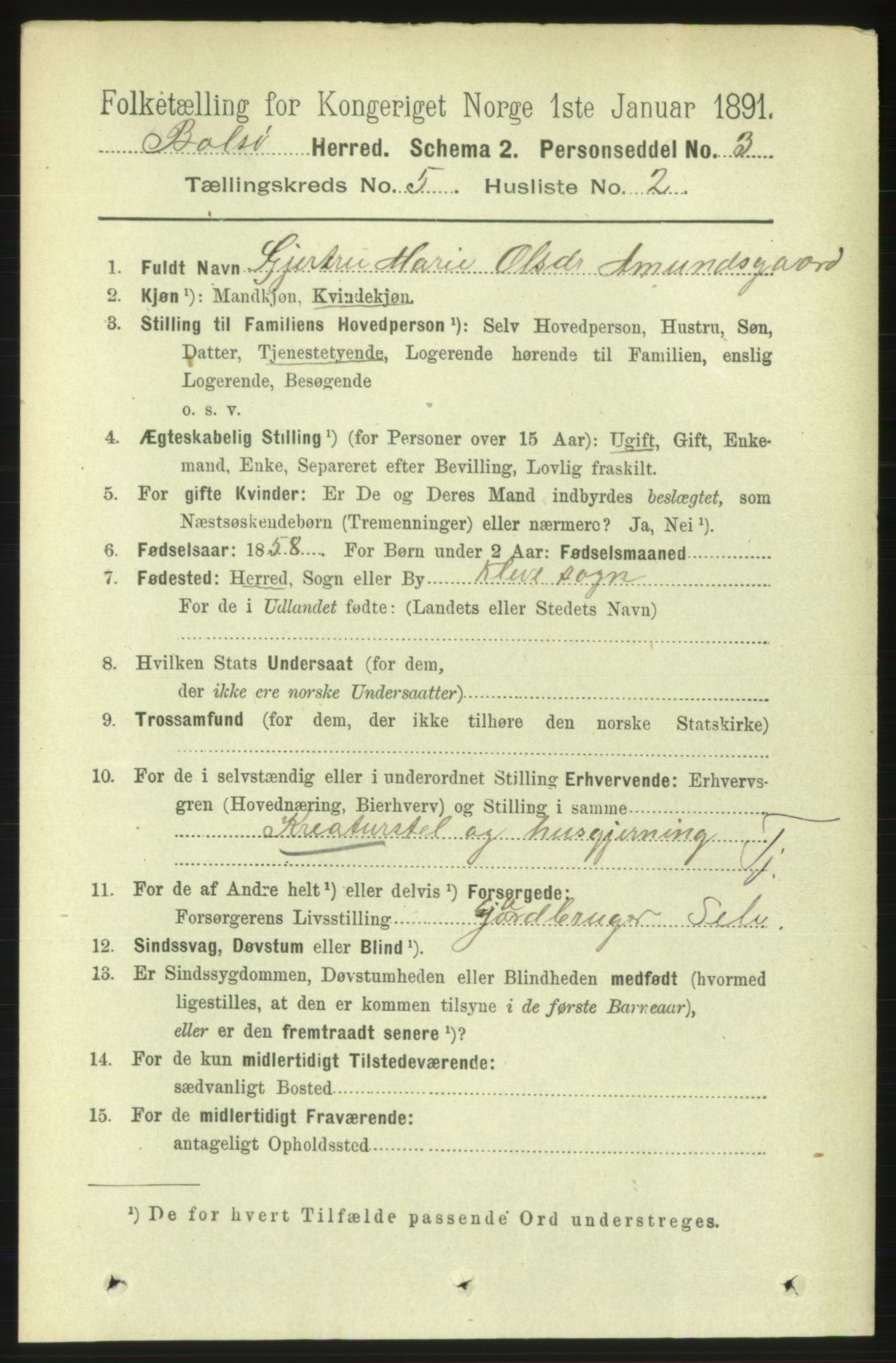 RA, 1891 census for 1544 Bolsøy, 1891, p. 3141