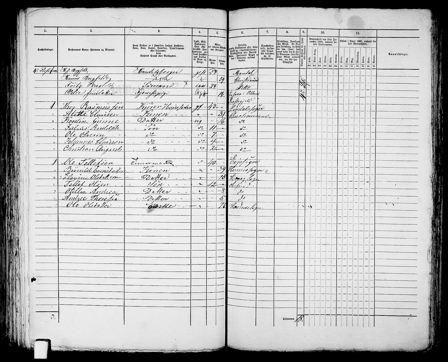 RA, 1865 census for Kristiansand, 1865, p. 1747