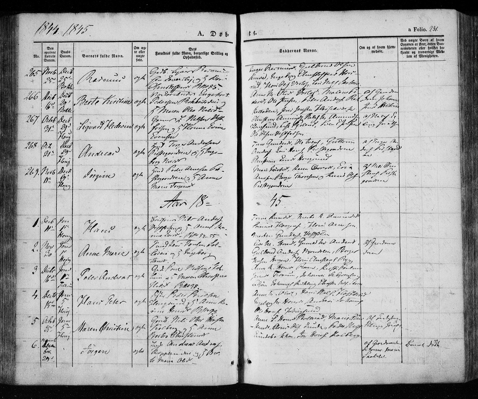 Eiker kirkebøker, SAKO/A-4/F/Fa/L0013a: Parish register (official) no. I 13A, 1832-1845, p. 231