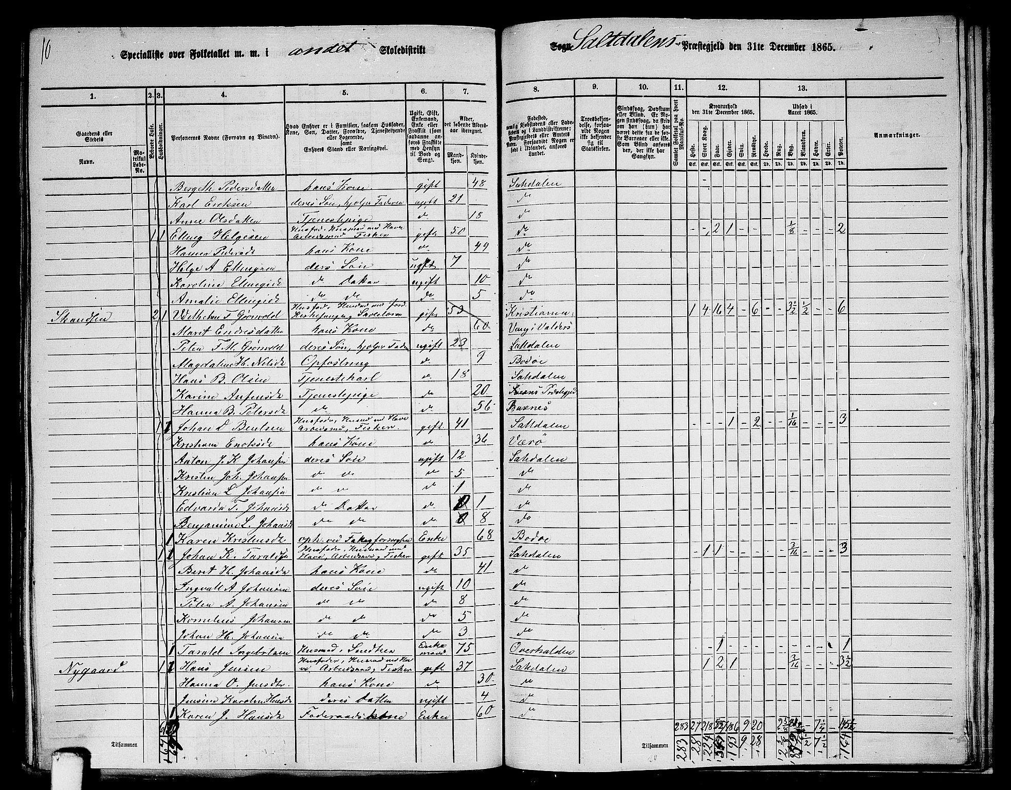 RA, 1865 census for Saltdal, 1865, p. 51