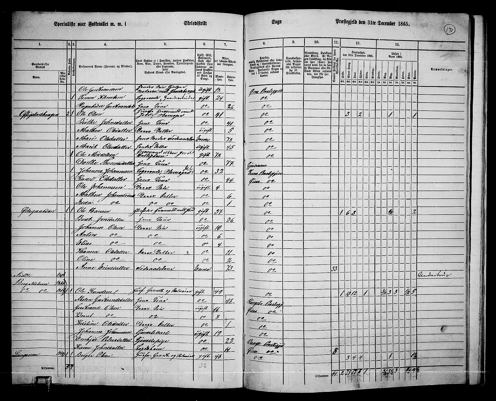 RA, 1865 census for Øyer, 1865, p. 156