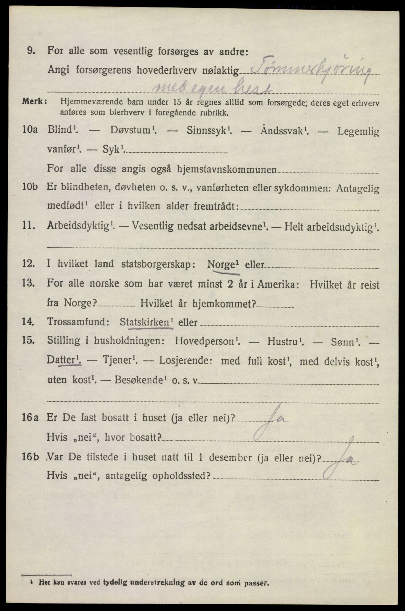 SAKO, 1920 census for Brunlanes, 1920, p. 6132