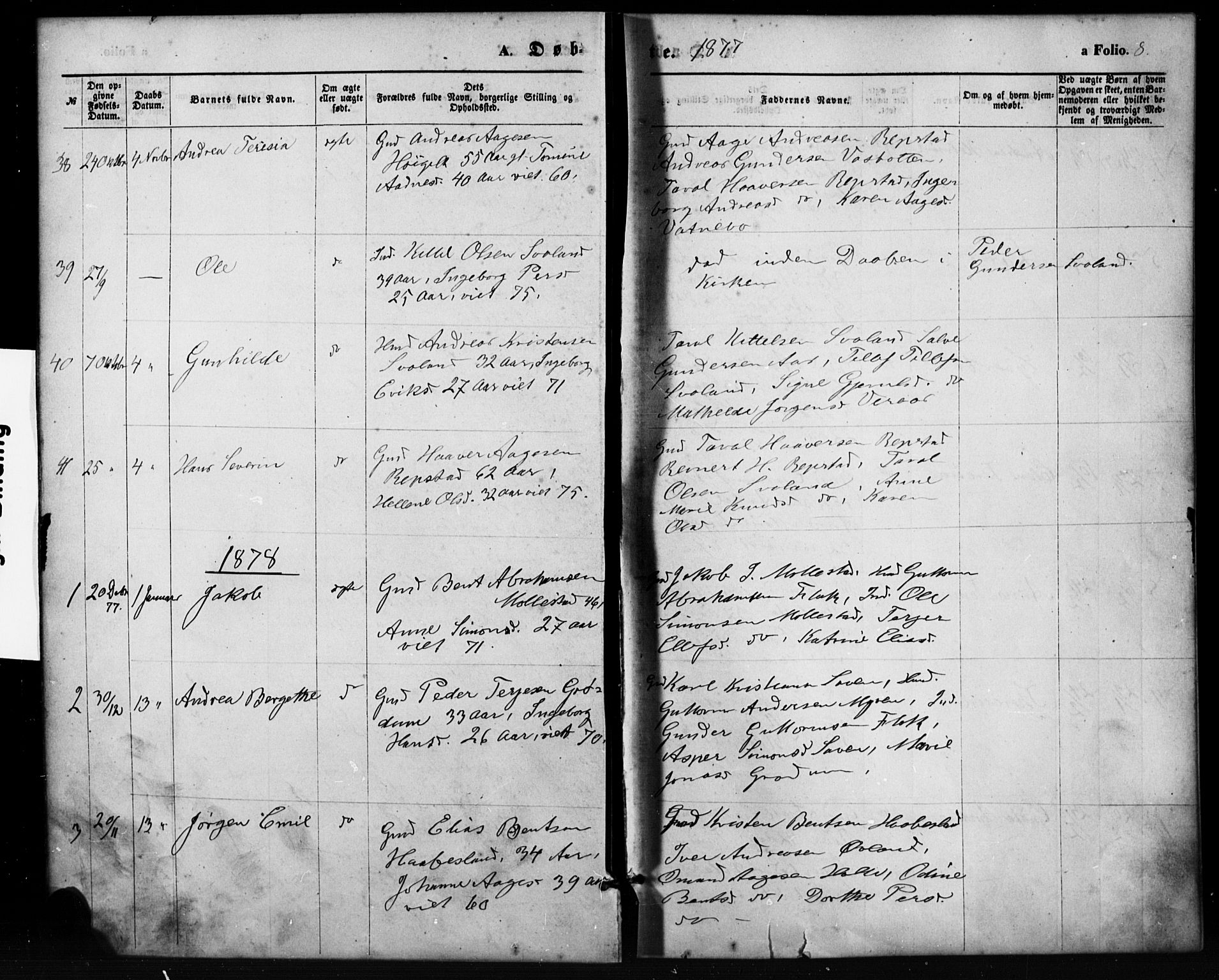 Birkenes sokneprestkontor, SAK/1111-0004/F/Fb/L0003: Parish register (copy) no. B 3, 1876-1892, p. 8