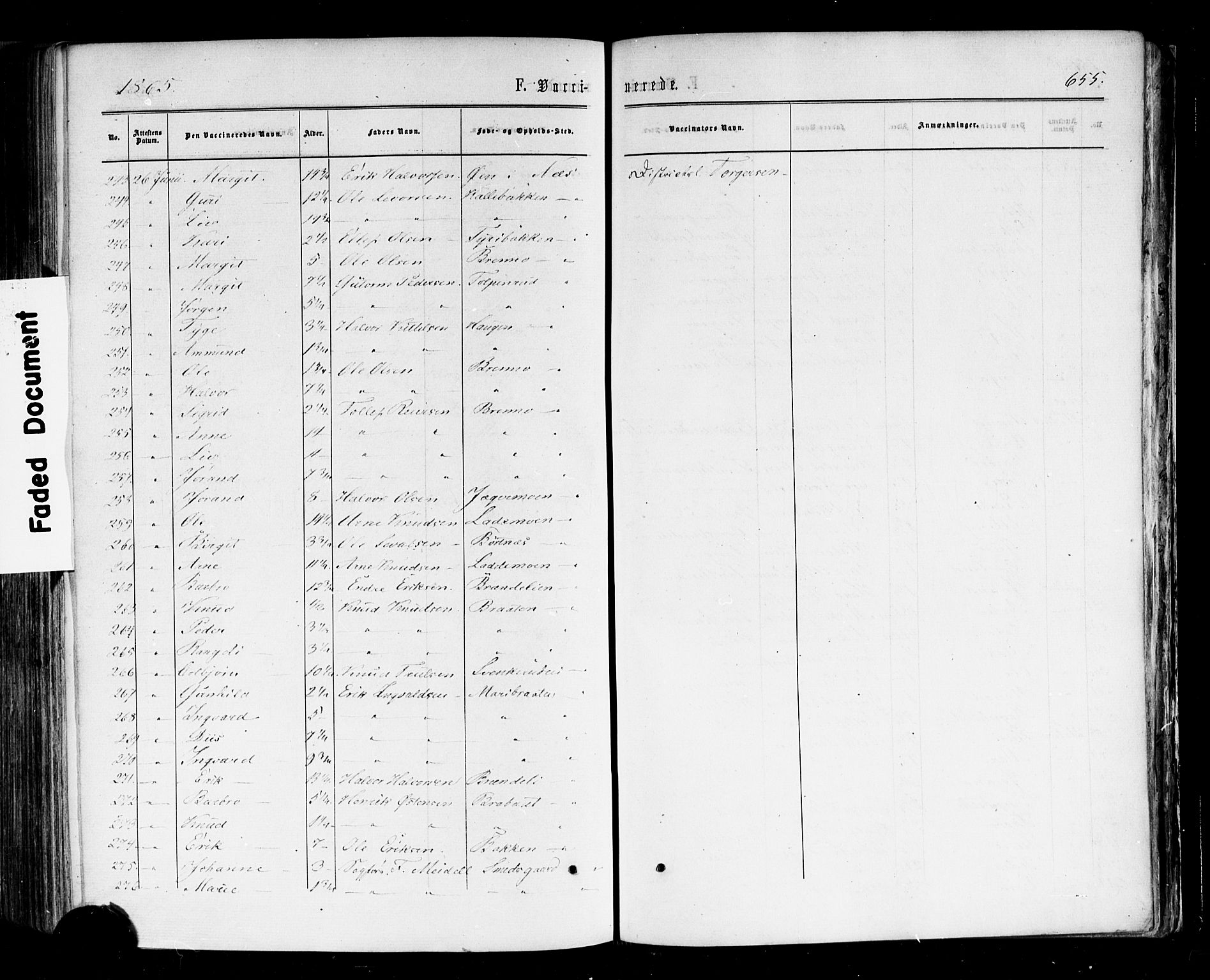 Nes kirkebøker, AV/SAKO-A-236/F/Fa/L0010: Parish register (official) no. 10, 1864-1880, p. 655