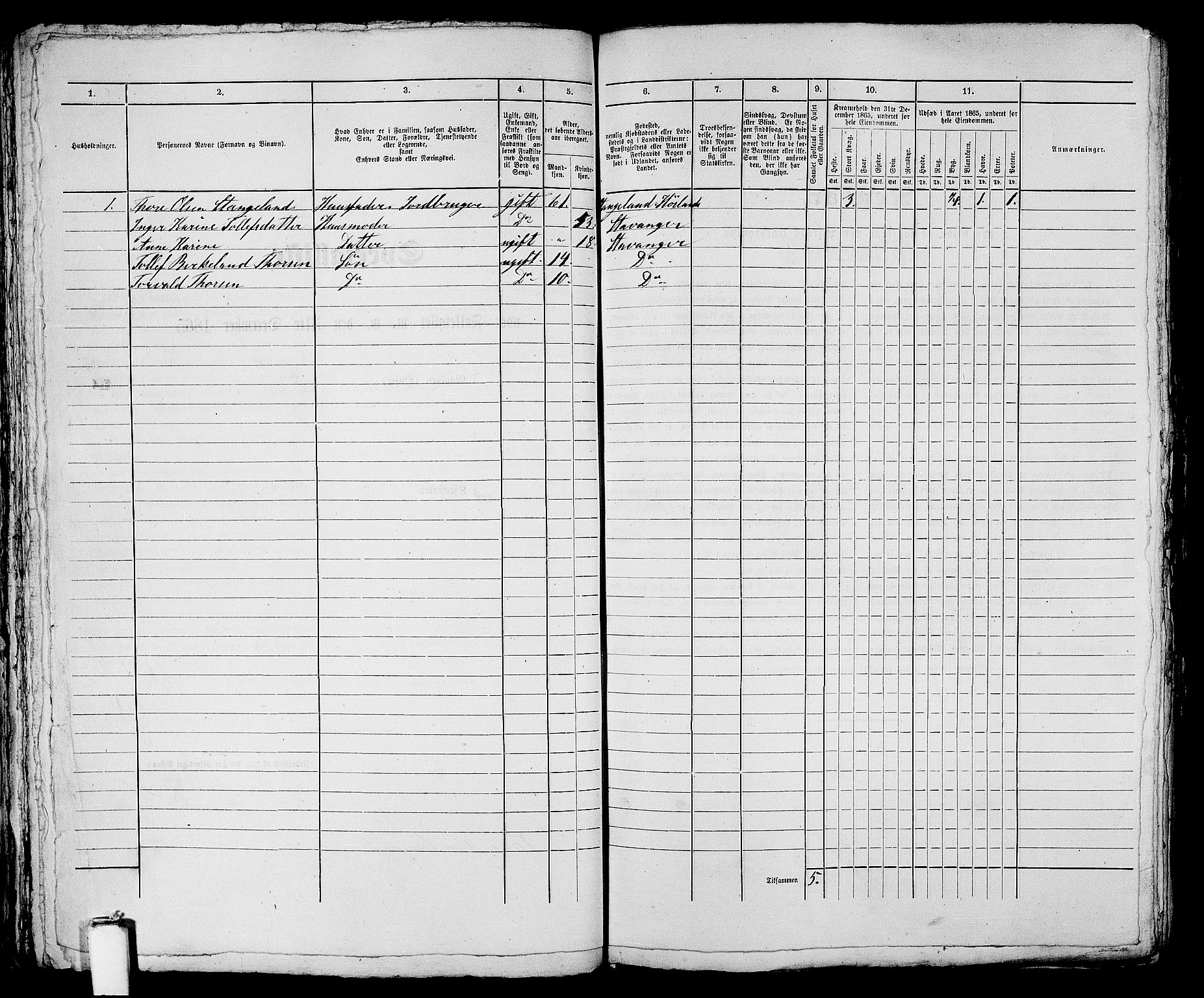 RA, 1865 census for Stavanger, 1865, p. 1190