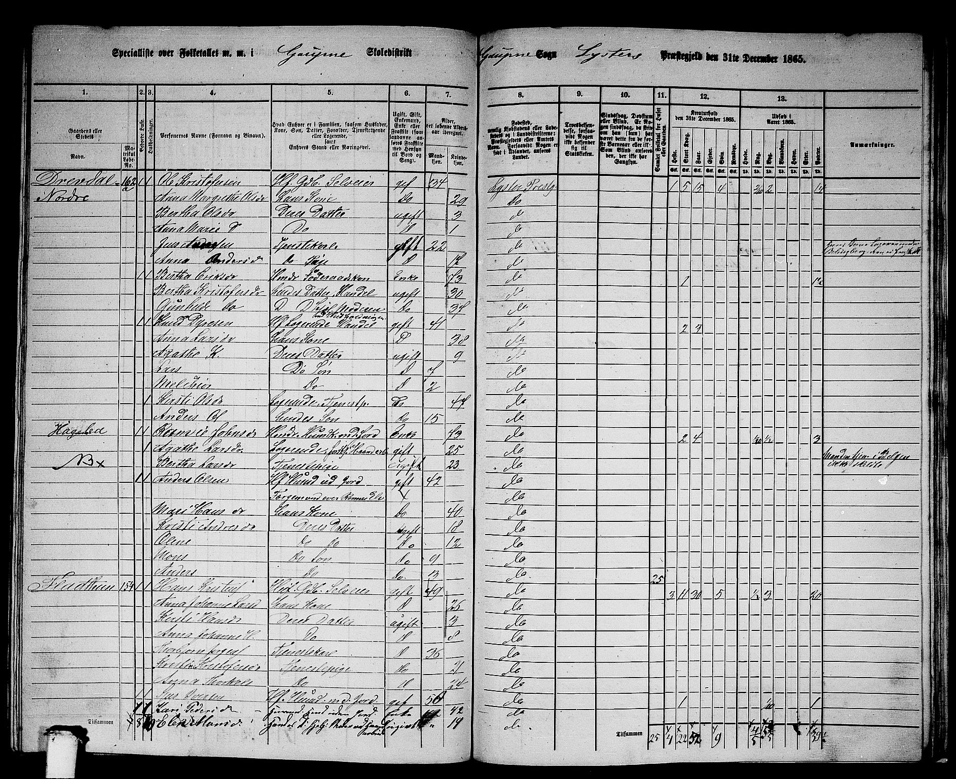 RA, 1865 census for Luster, 1865, p. 149