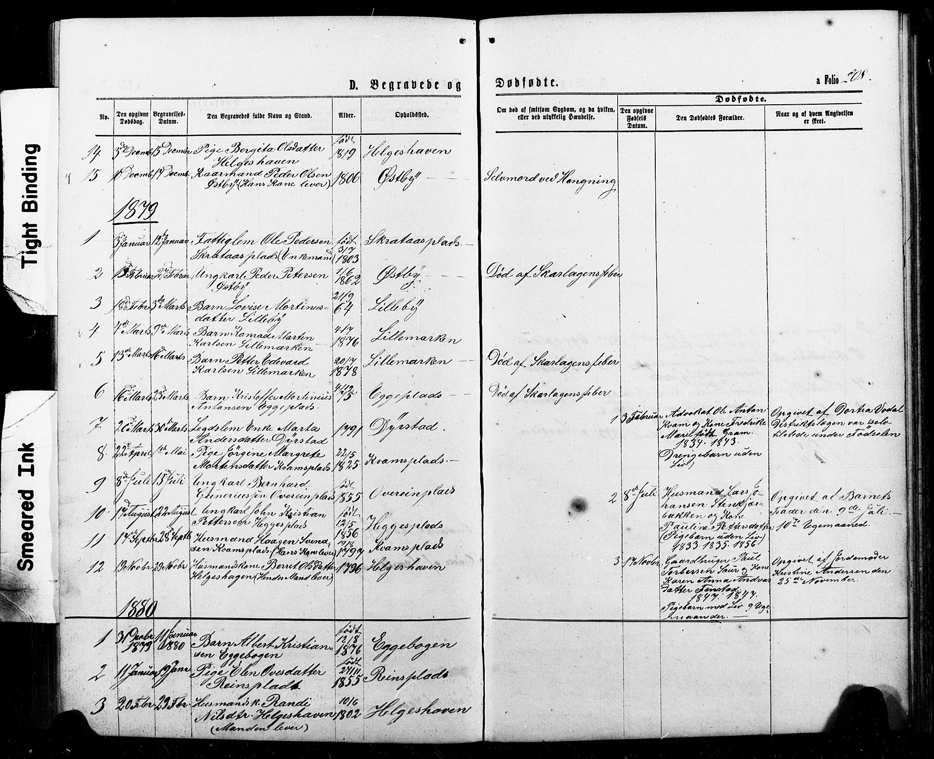 Ministerialprotokoller, klokkerbøker og fødselsregistre - Nord-Trøndelag, SAT/A-1458/740/L0380: Parish register (copy) no. 740C01, 1868-1902, p. 208