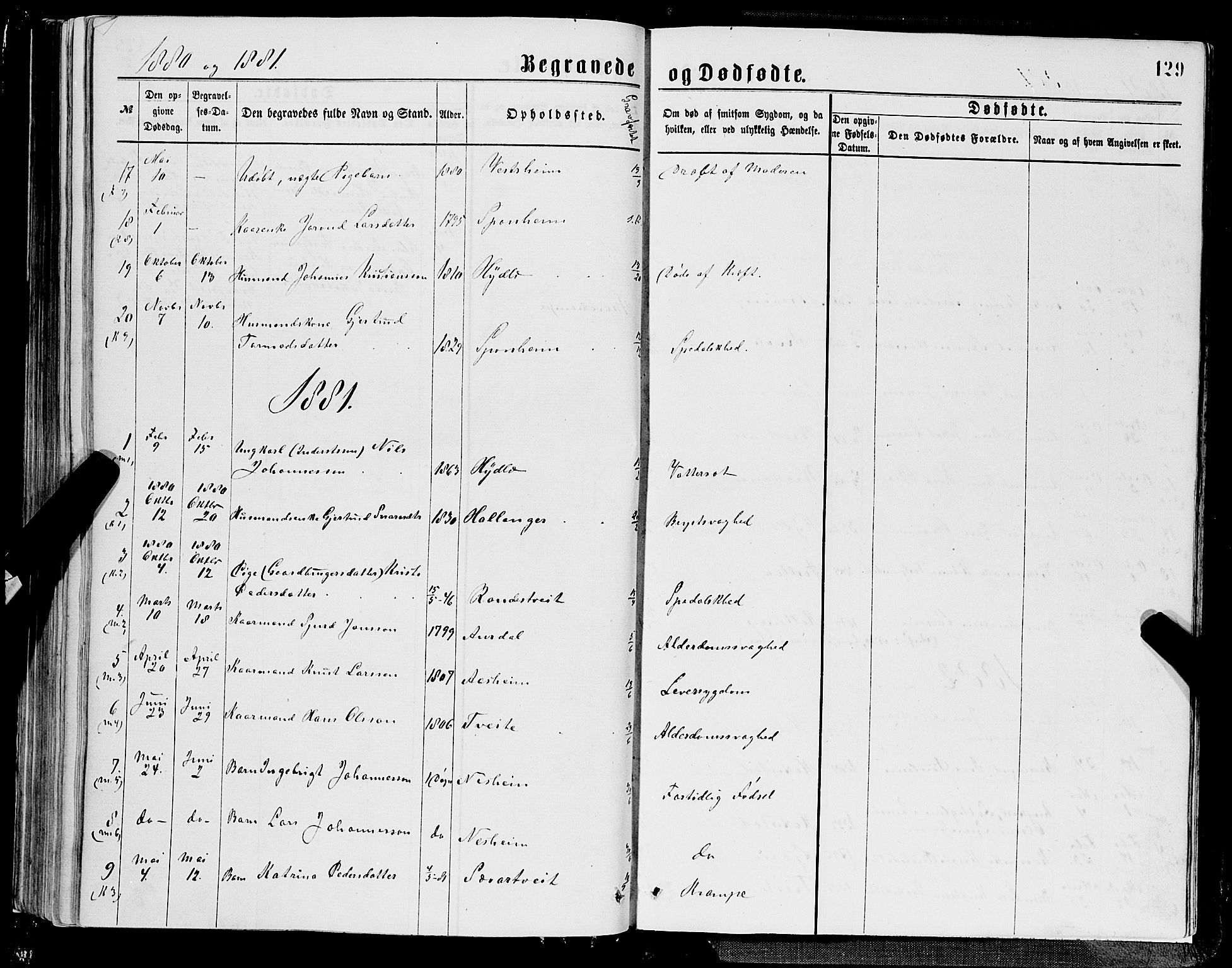 Ulvik sokneprestembete, SAB/A-78801/H/Hab: Parish register (copy) no. A 2, 1869-1882, p. 129