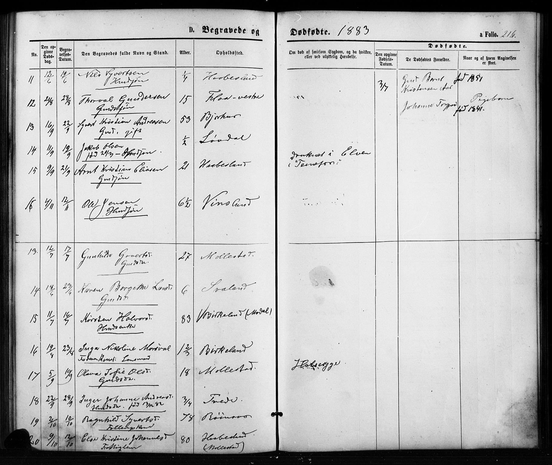 Birkenes sokneprestkontor, SAK/1111-0004/F/Fb/L0003: Parish register (copy) no. B 3, 1876-1892, p. 216