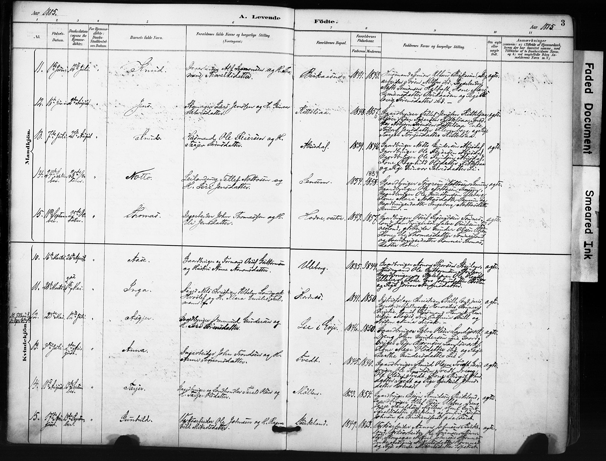 Evje sokneprestkontor, SAK/1111-0008/F/Fa/Fab/L0003: Parish register (official) no. A 3, 1884-1909, p. 3