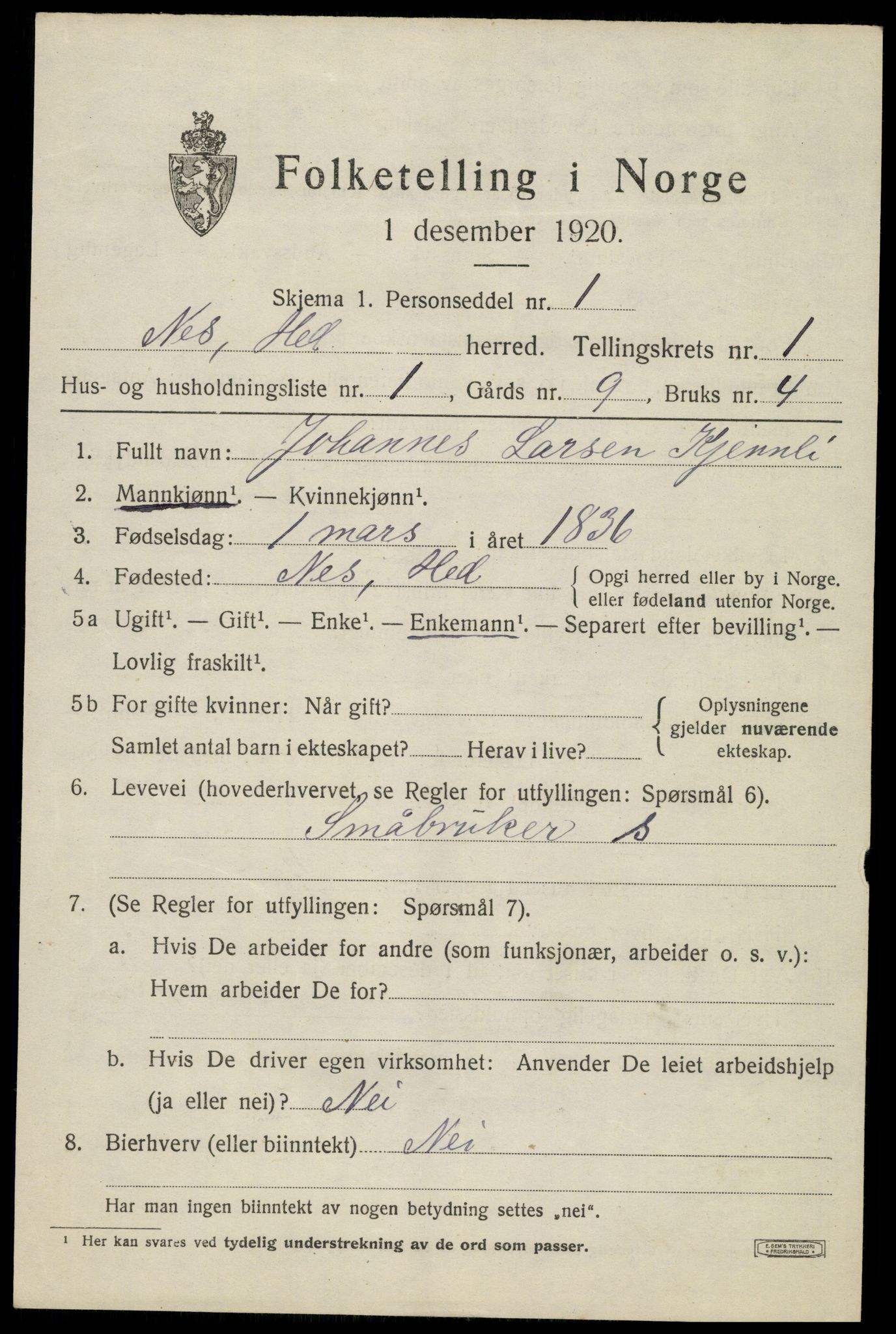 SAH, 1920 census for Nes (Hedmark), 1920, p. 1294
