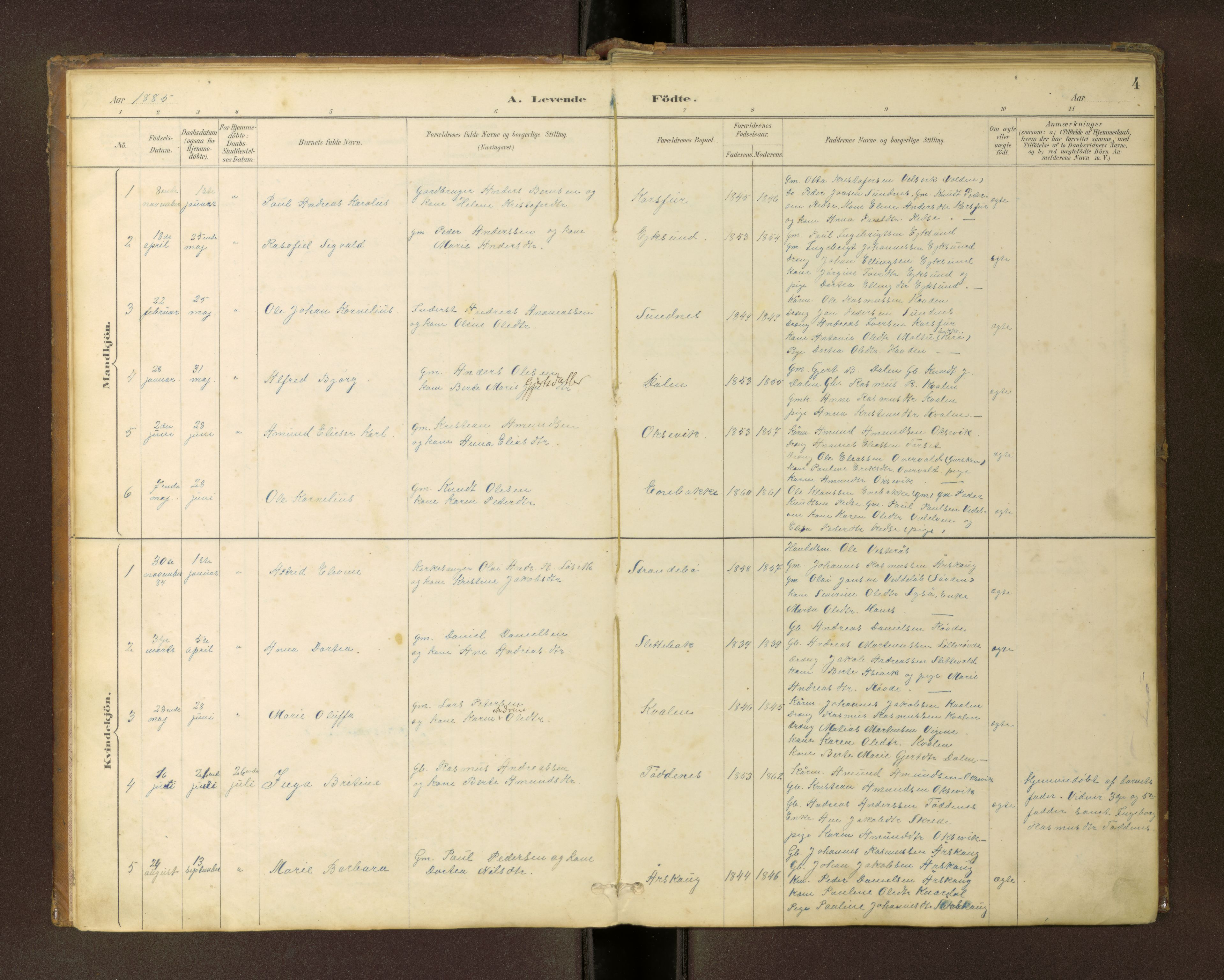 Ministerialprotokoller, klokkerbøker og fødselsregistre - Møre og Romsdal, AV/SAT-A-1454/504/L0060: Parish register (copy) no. 504C02, 1884-1903, p. 4