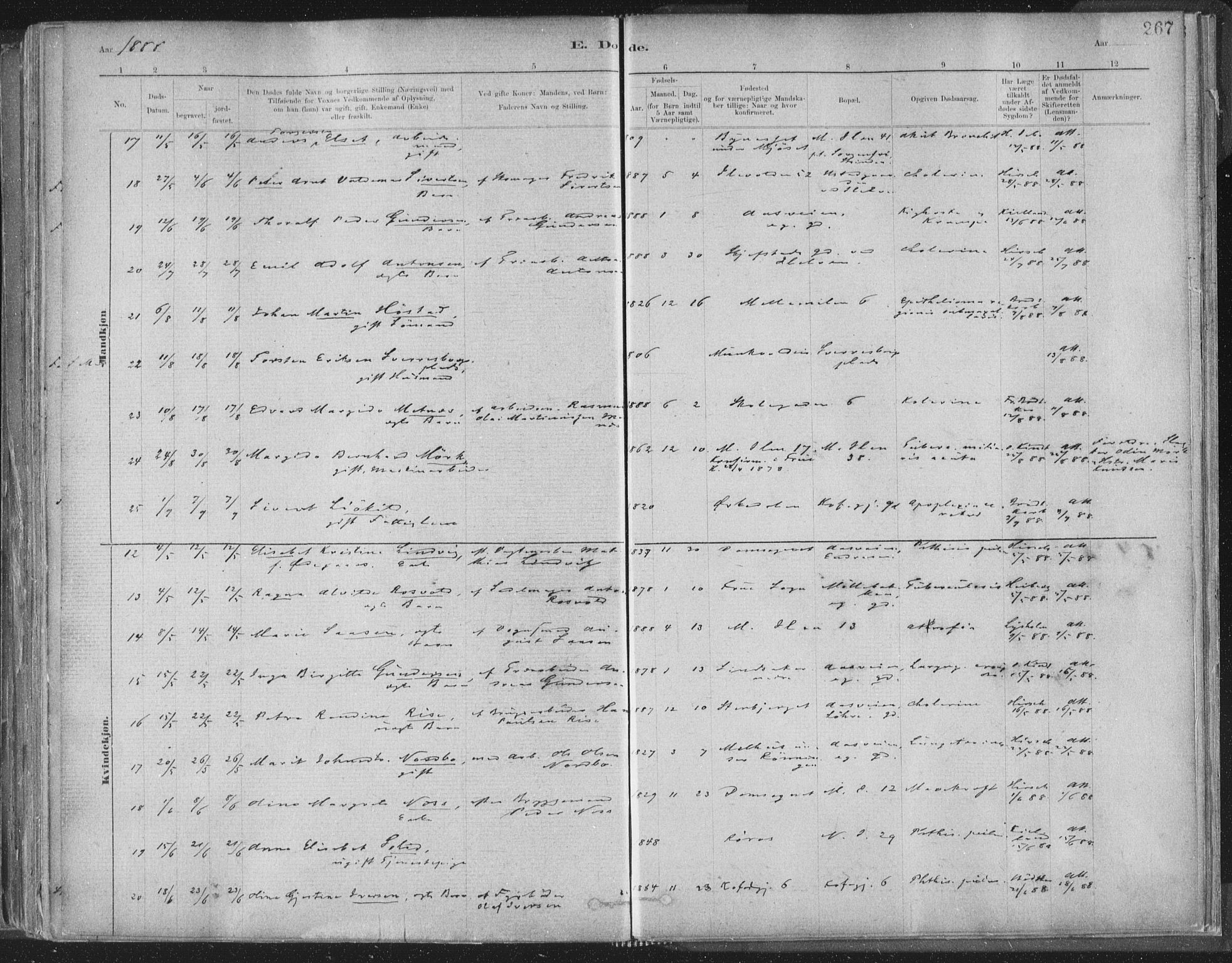 Ministerialprotokoller, klokkerbøker og fødselsregistre - Sør-Trøndelag, AV/SAT-A-1456/603/L0162: Parish register (official) no. 603A01, 1879-1895, p. 267