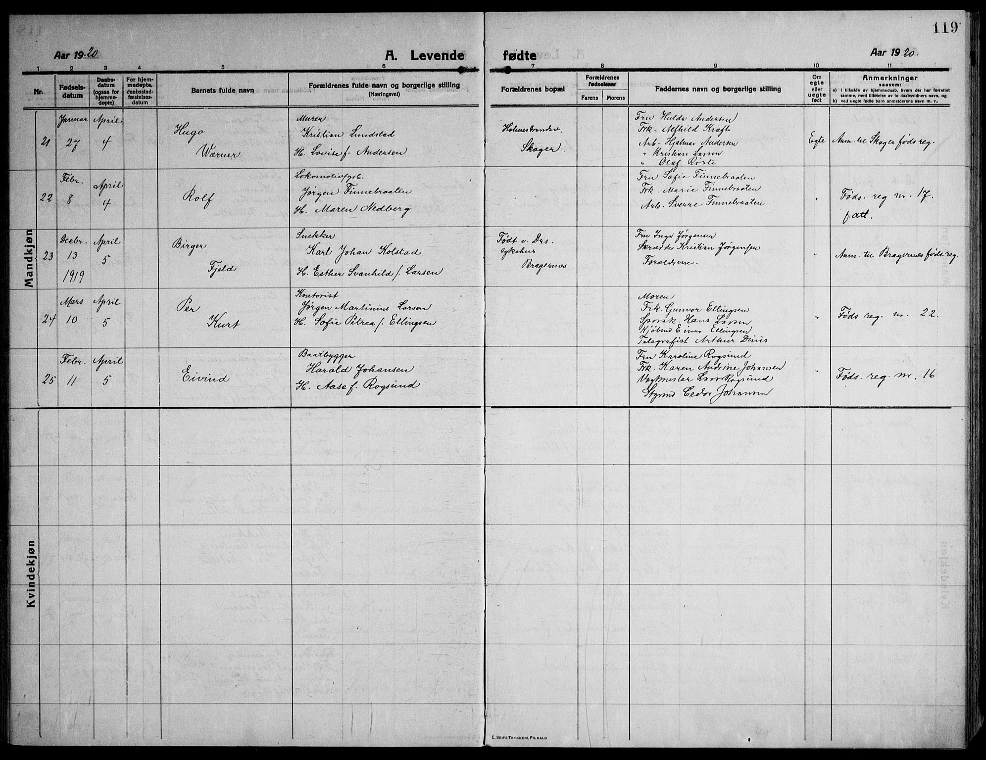 Strømsø kirkebøker, AV/SAKO-A-246/F/Fa/L0029: Parish register (official) no. I 27, 1915-1930, p. 119