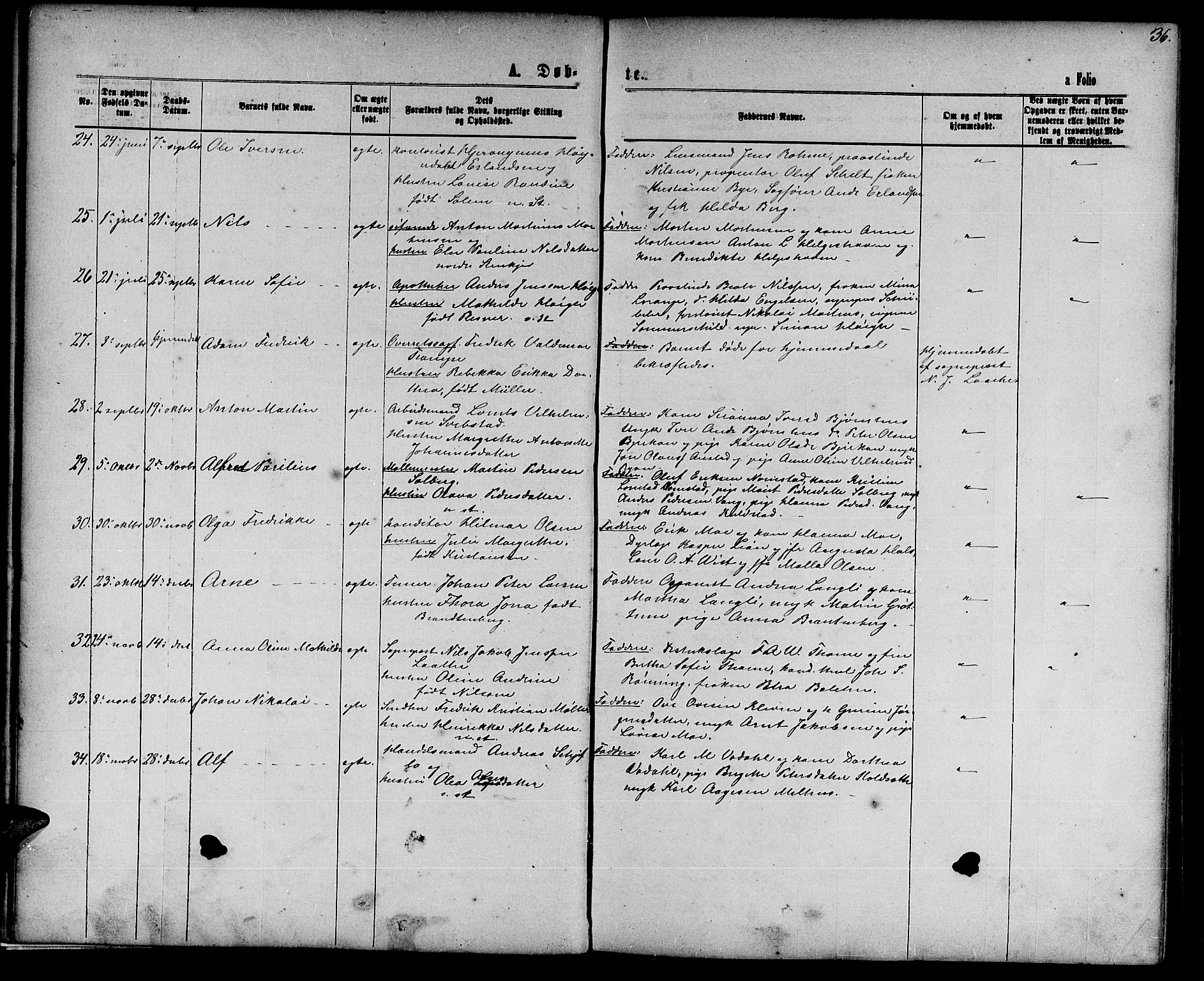 Ministerialprotokoller, klokkerbøker og fødselsregistre - Nord-Trøndelag, SAT/A-1458/739/L0373: Parish register (copy) no. 739C01, 1865-1882, p. 36