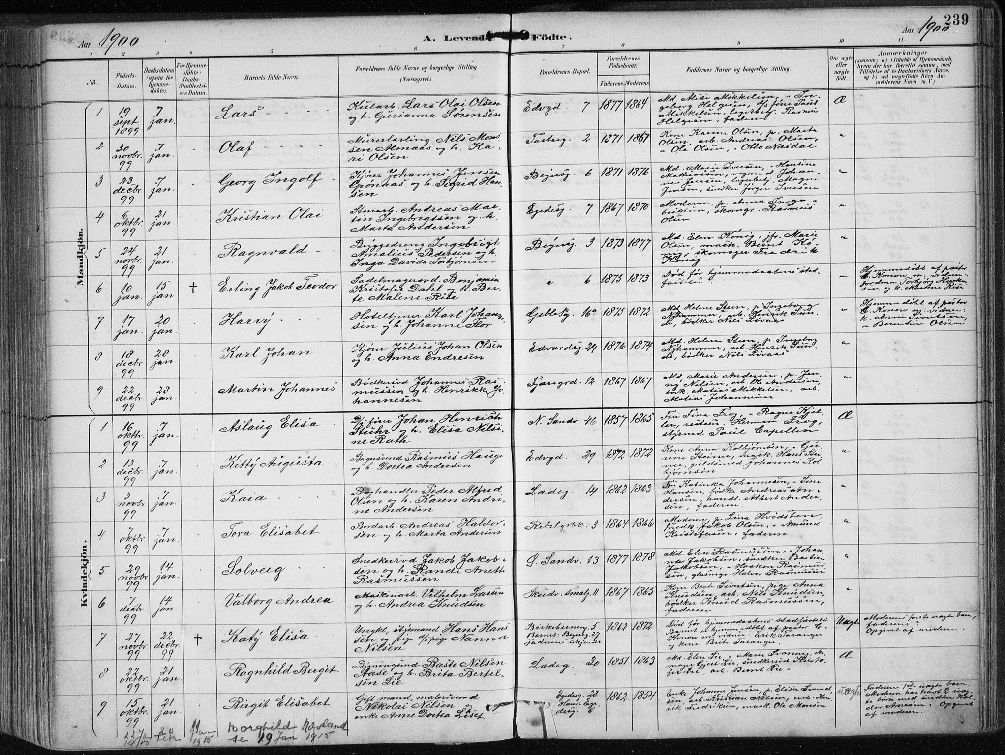 Sandviken Sokneprestembete, AV/SAB-A-77601/H/Ha/L0005: Parish register (official) no. B 2, 1891-1901, p. 239