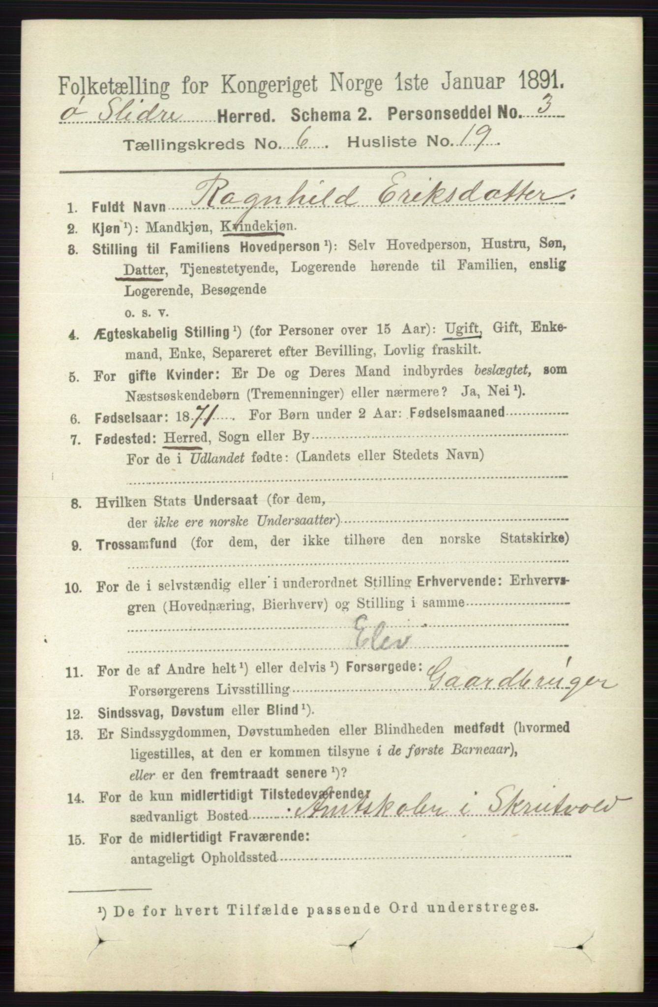 RA, 1891 census for 0544 Øystre Slidre, 1891, p. 1896