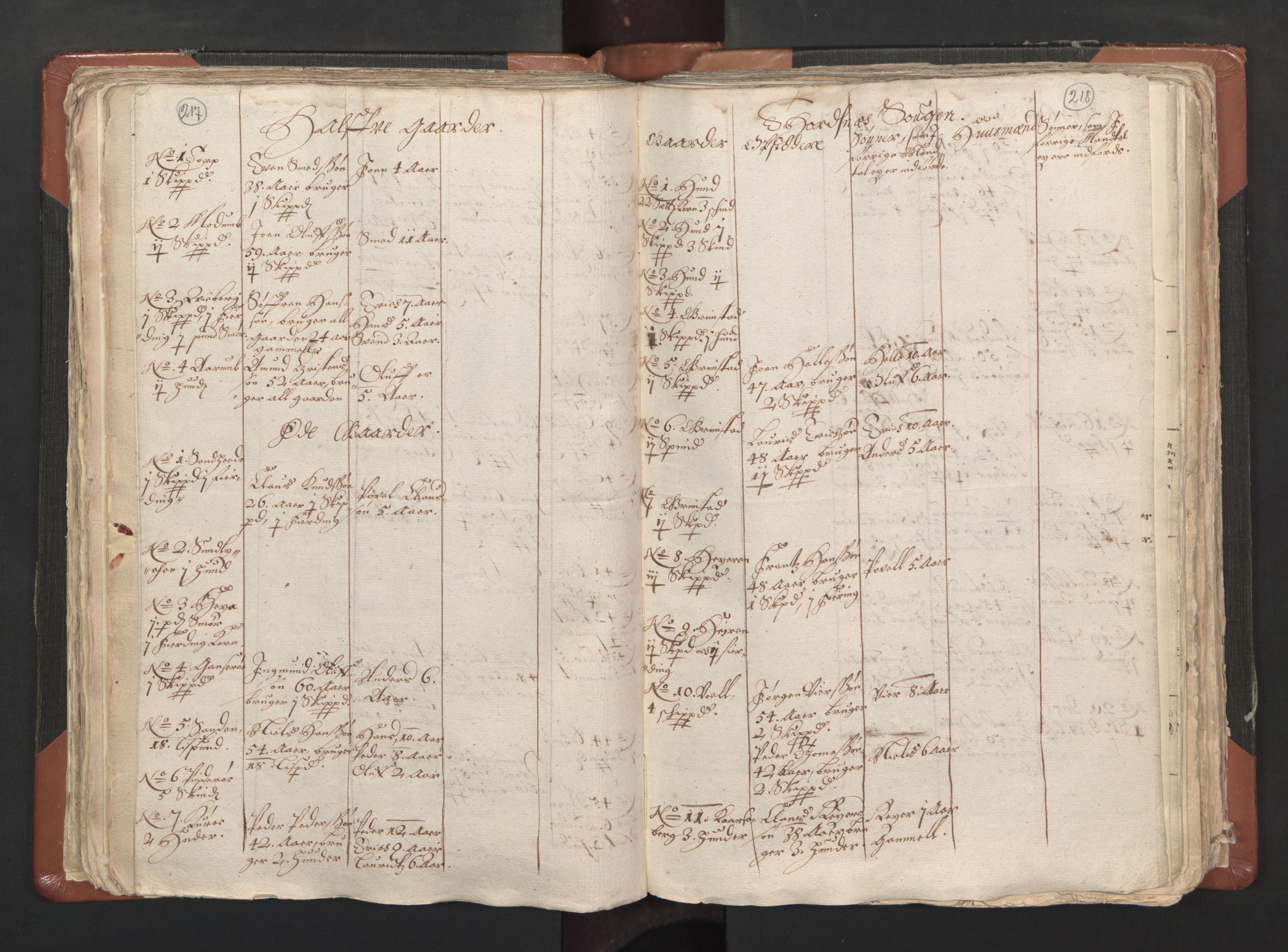 RA, Vicar's Census 1664-1666, no. 1: Nedre Borgesyssel deanery, 1664-1666, p. 217-218