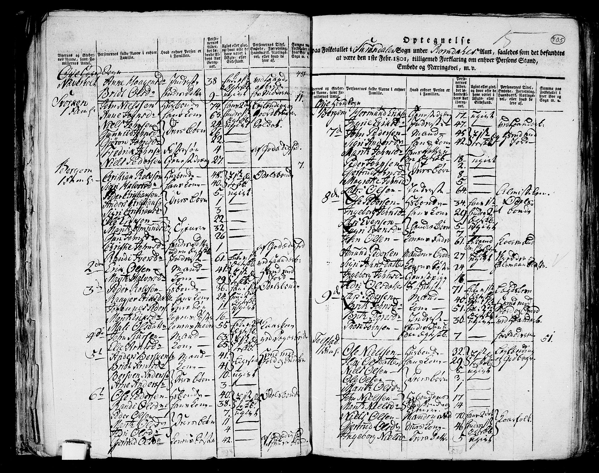 RA, 1801 census for 1566P Surnadal, 1801, p. 704b-705a