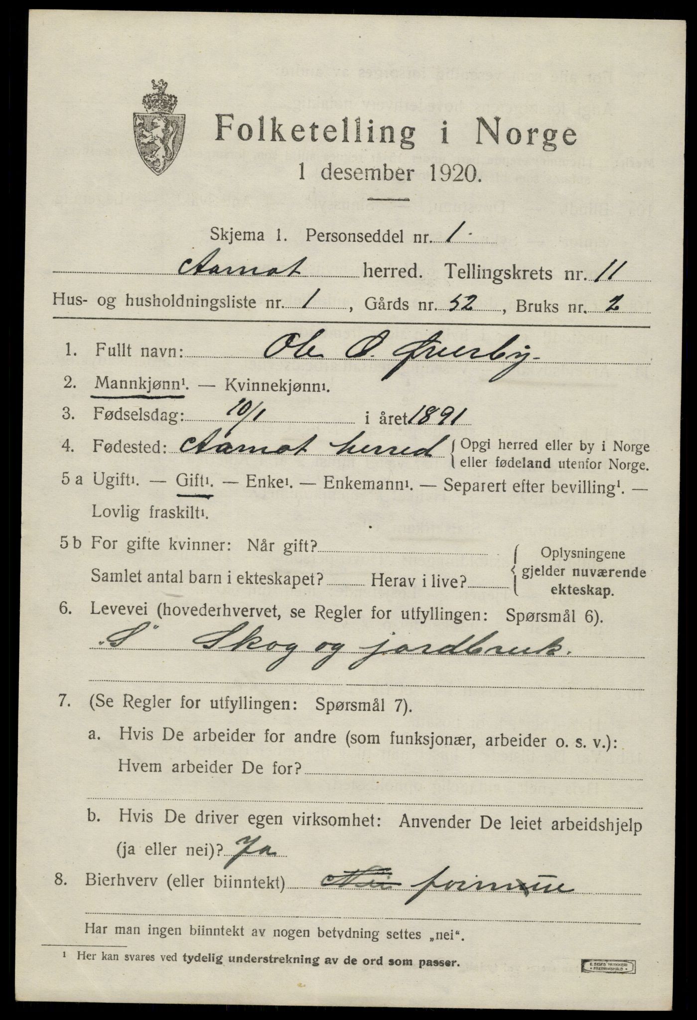 SAH, 1920 census for Åmot, 1920, p. 9411