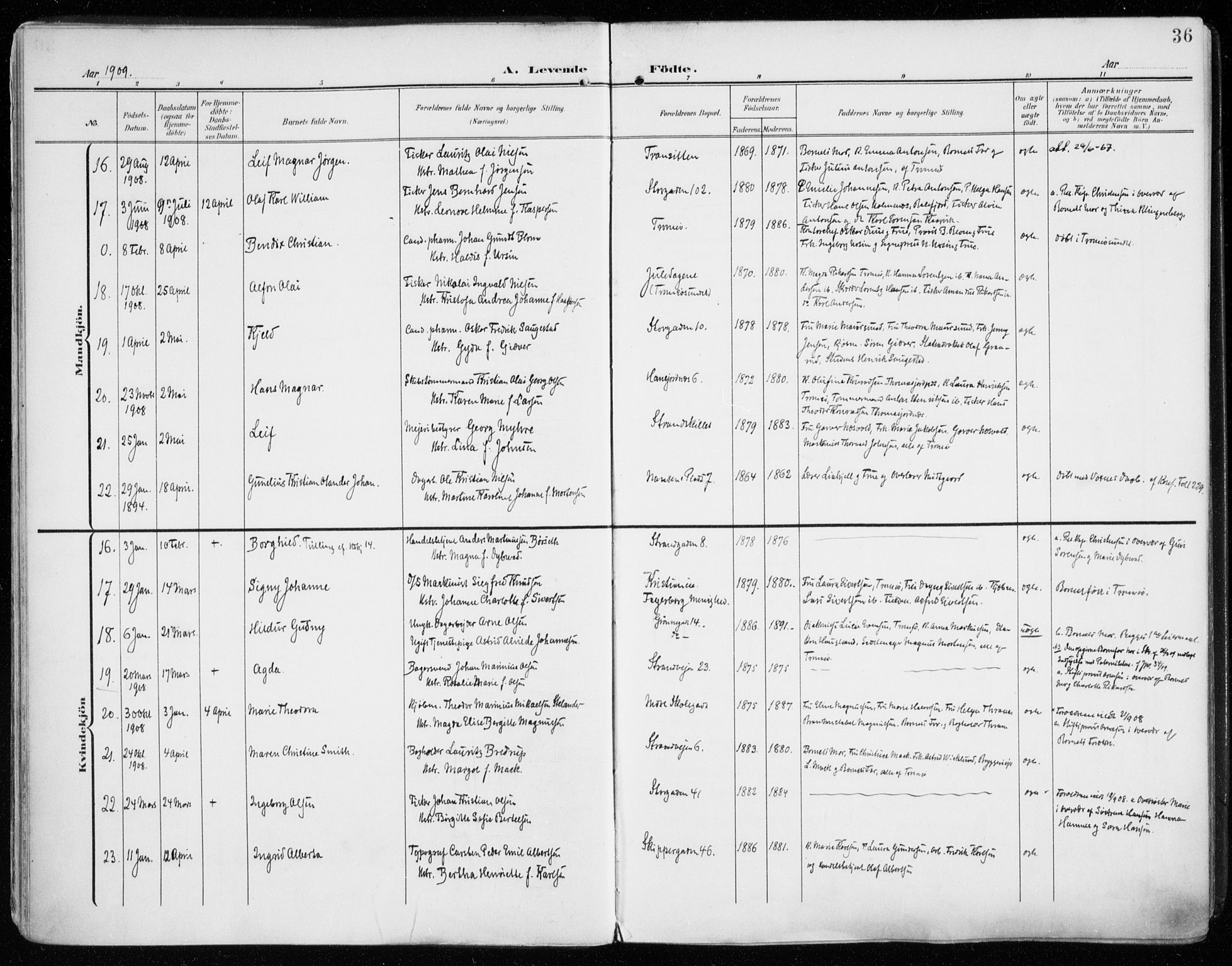 Tromsø sokneprestkontor/stiftsprosti/domprosti, AV/SATØ-S-1343/G/Ga/L0017kirke: Parish register (official) no. 17, 1907-1917, p. 36