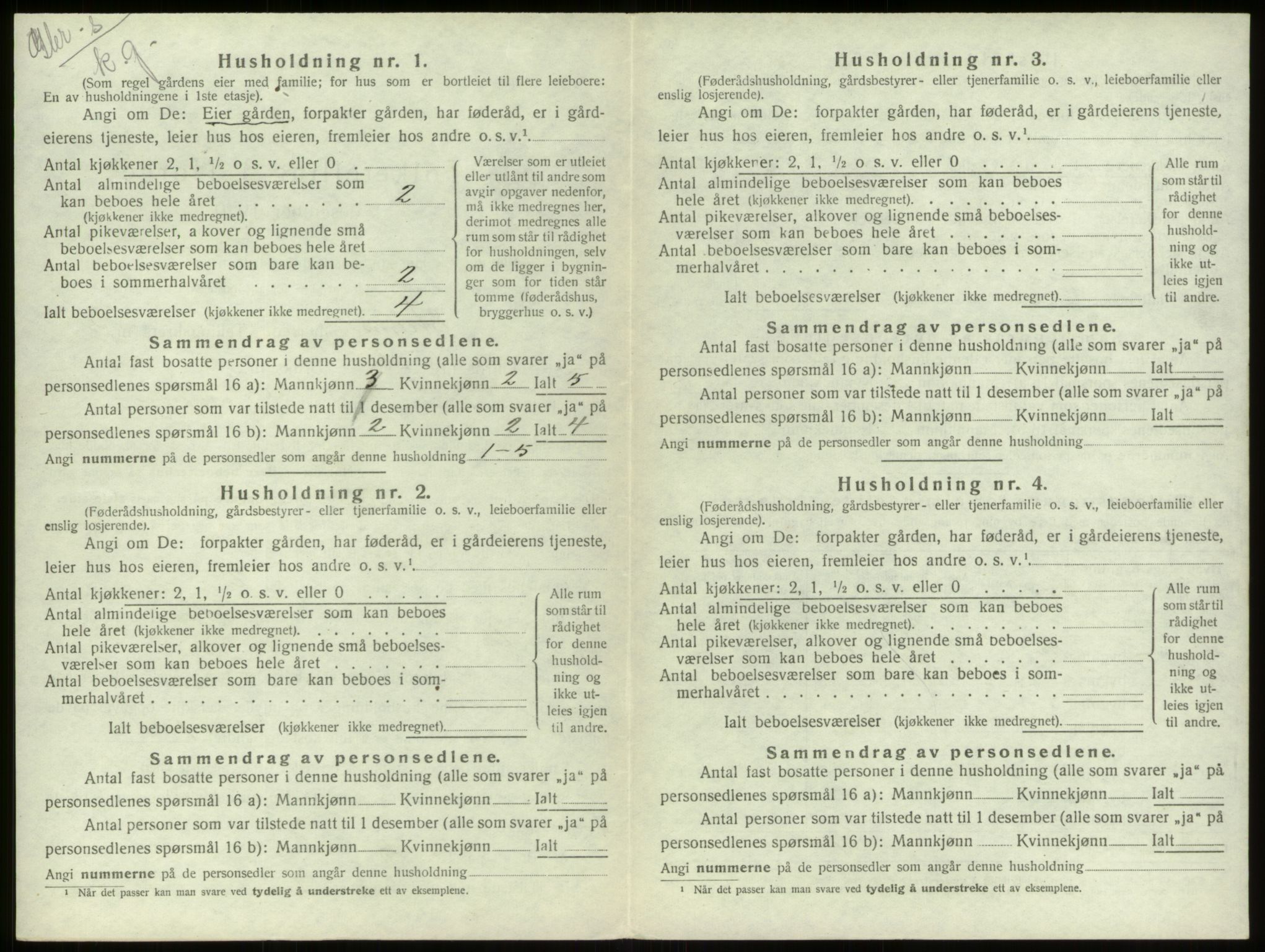 SAB, 1920 census for Stryn, 1920, p. 296