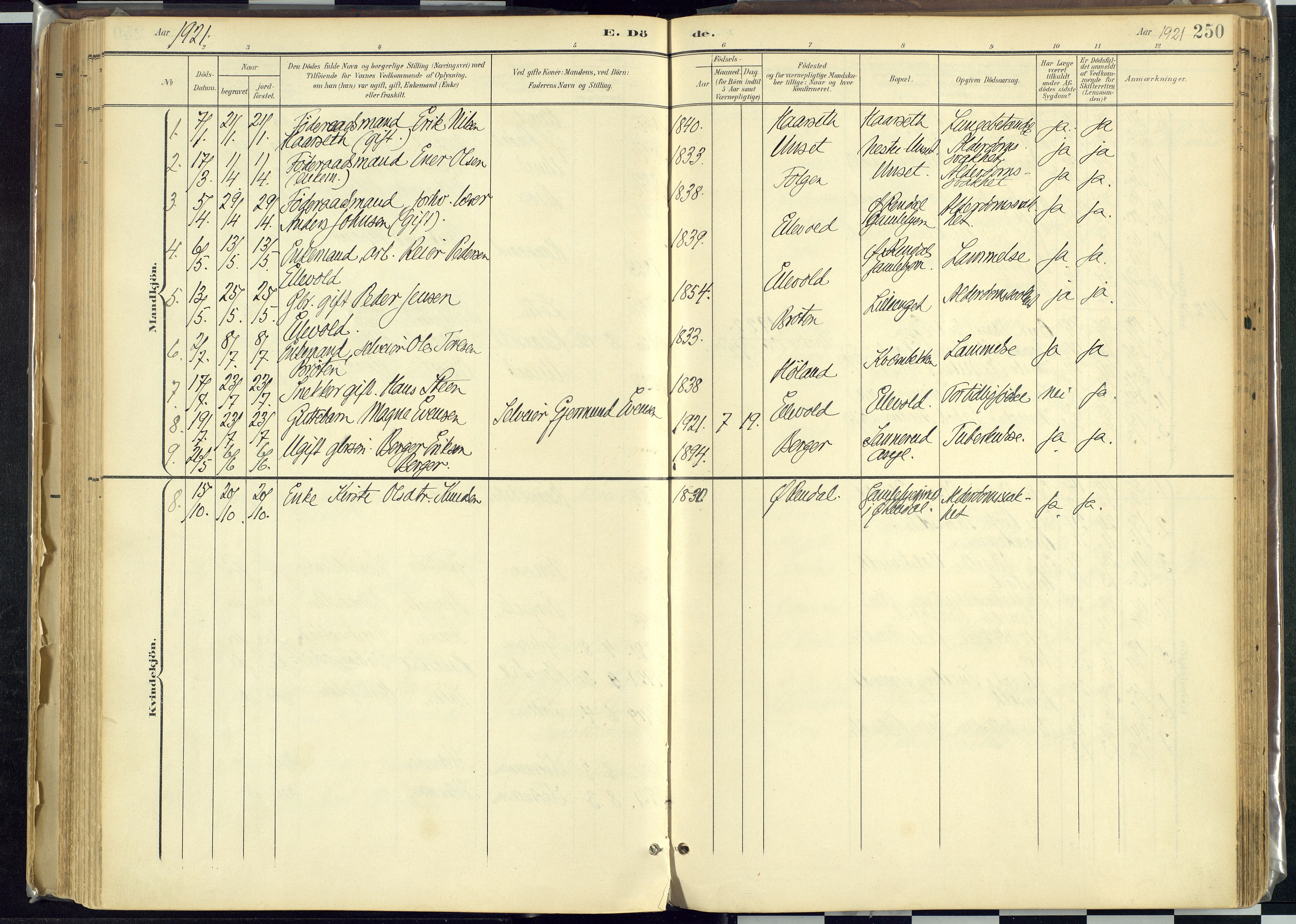 Rendalen prestekontor, AV/SAH-PREST-054/H/Ha/Haa/L0012: Parish register (official) no. 12, 1901-1928, p. 250