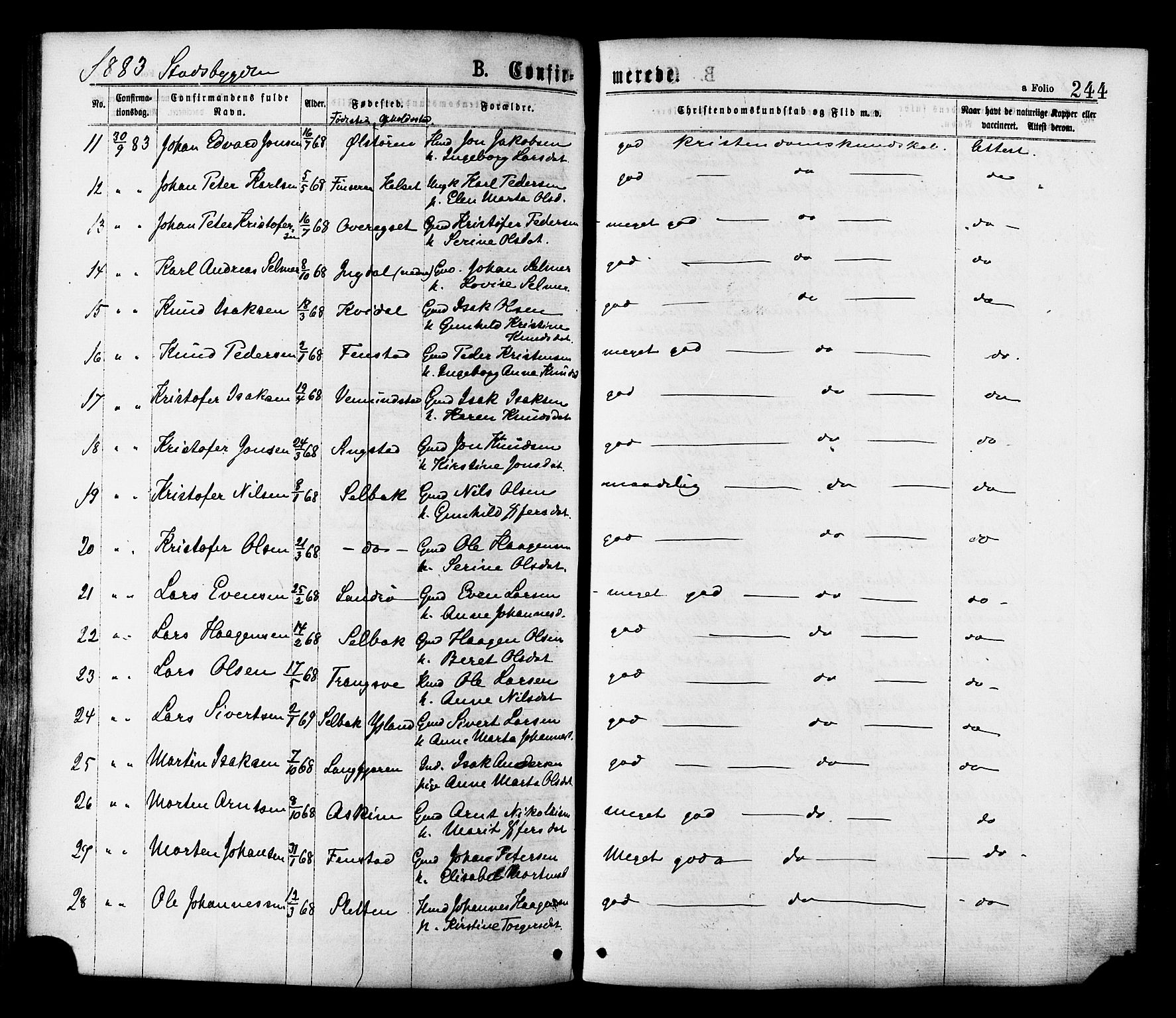 Ministerialprotokoller, klokkerbøker og fødselsregistre - Sør-Trøndelag, AV/SAT-A-1456/646/L0613: Parish register (official) no. 646A11, 1870-1884, p. 244