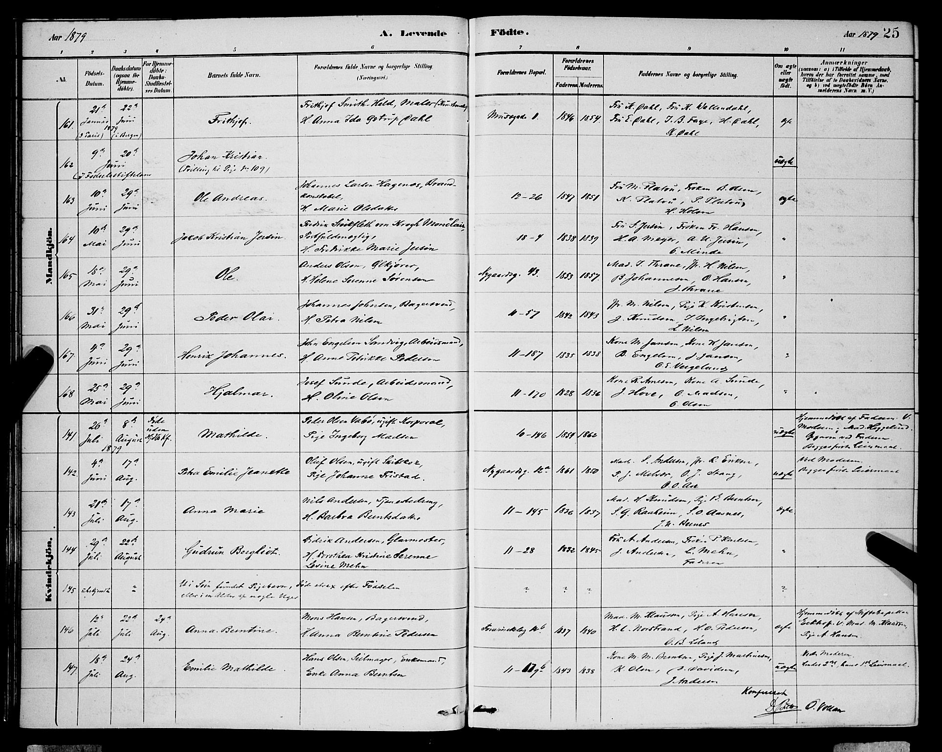 Domkirken sokneprestembete, SAB/A-74801/H/Hab/L0015: Parish register (copy) no. B 8, 1879-1887, p. 25