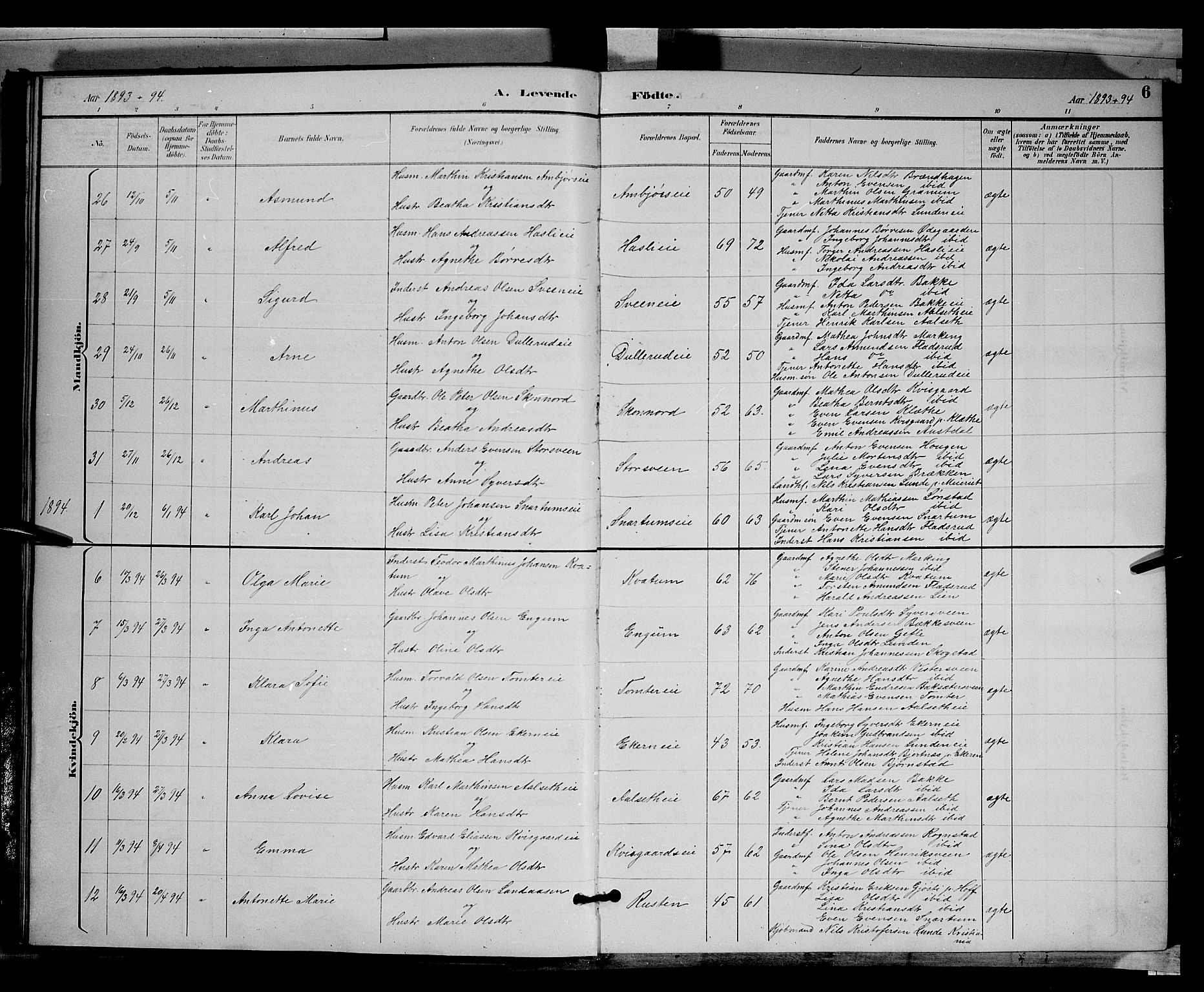 Biri prestekontor, AV/SAH-PREST-096/H/Ha/Hab/L0003: Parish register (copy) no. 3, 1892-1905, p. 6