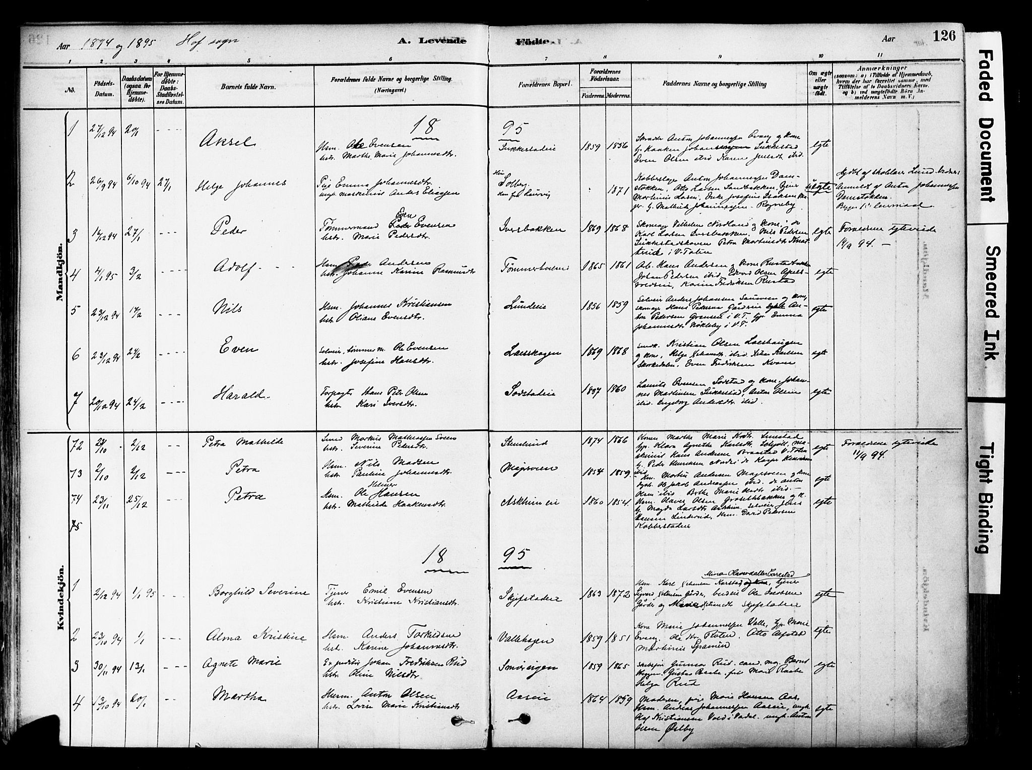 Østre Toten prestekontor, SAH/PREST-104/H/Ha/Haa/L0006: Parish register (official) no. 6 /1, 1878-1896, p. 126