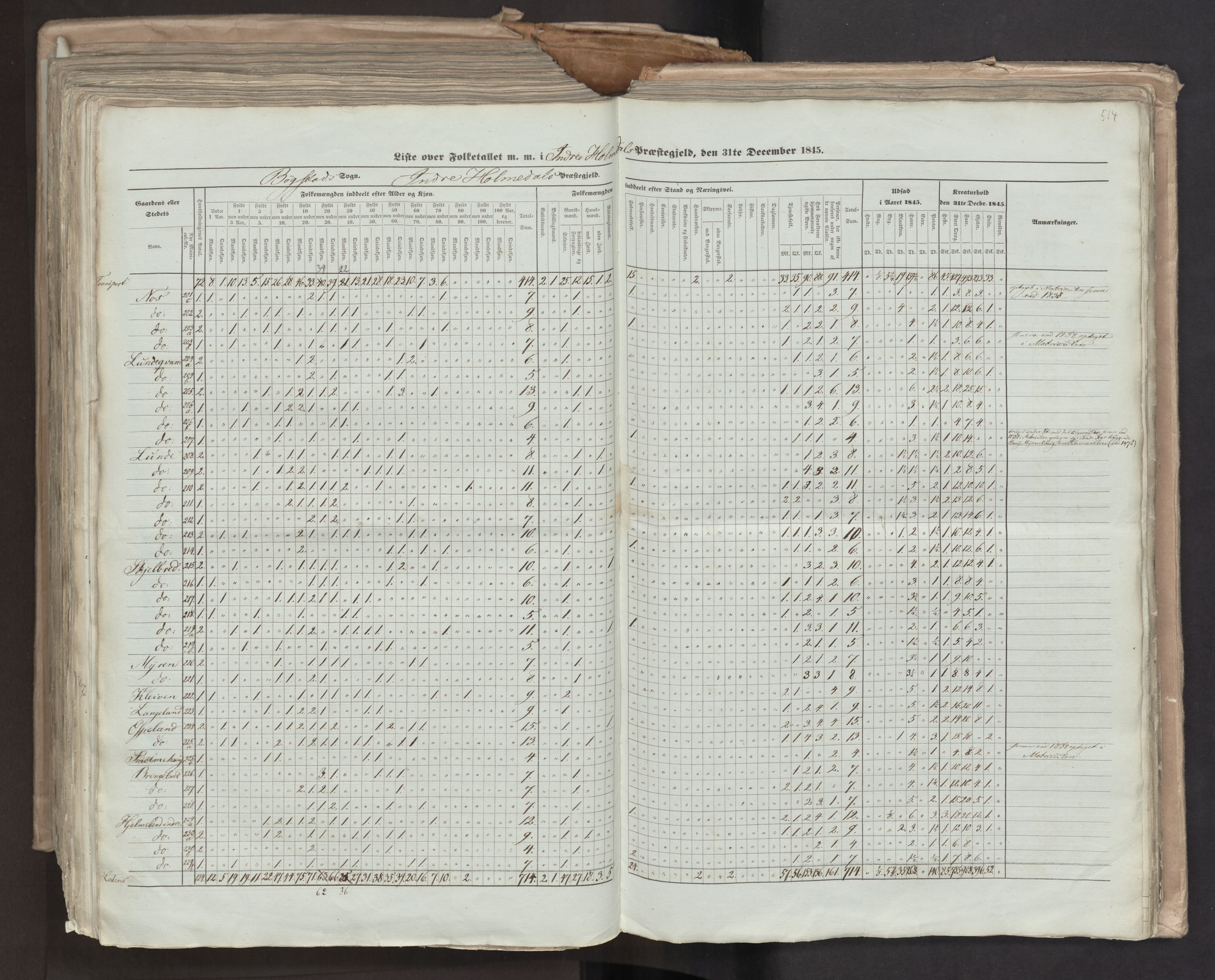 RA, Census 1845, vol. 7: Søndre Bergenhus amt og Nordre Bergenhus amt, 1845, p. 514